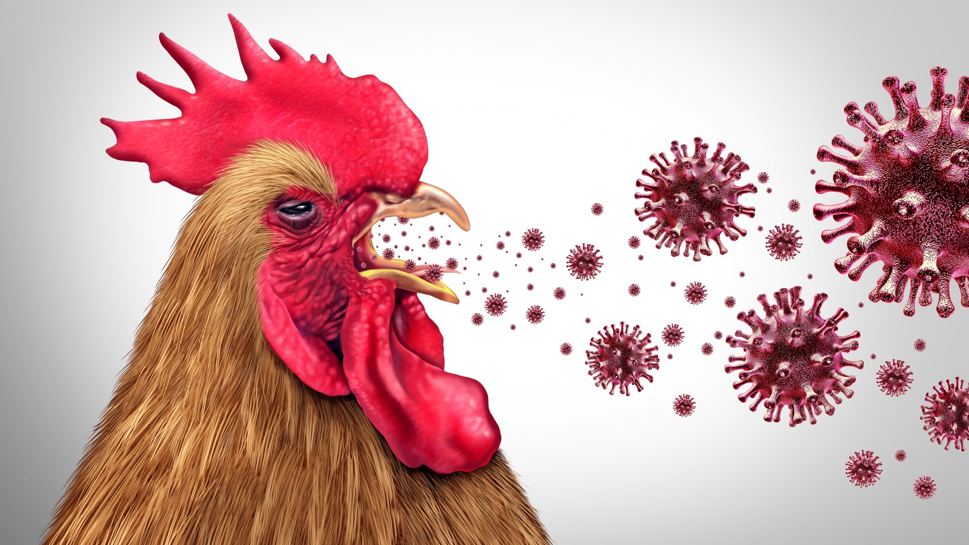 Nowa pandemia na horyzoncie? Wraca groźny wirus sprzed lat