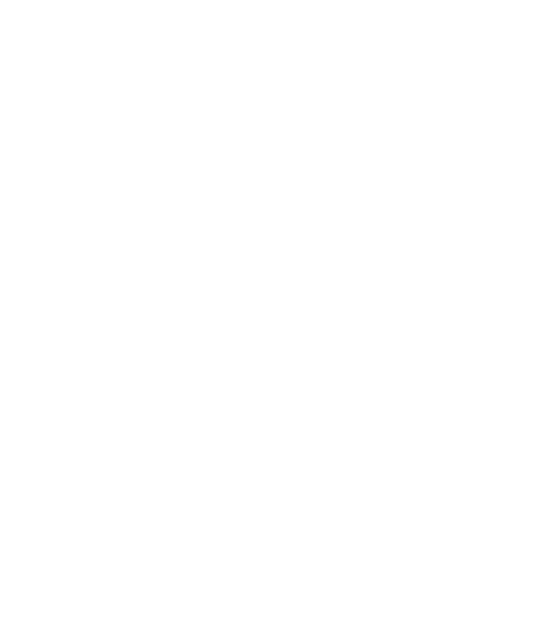 Redakcja Telepolis