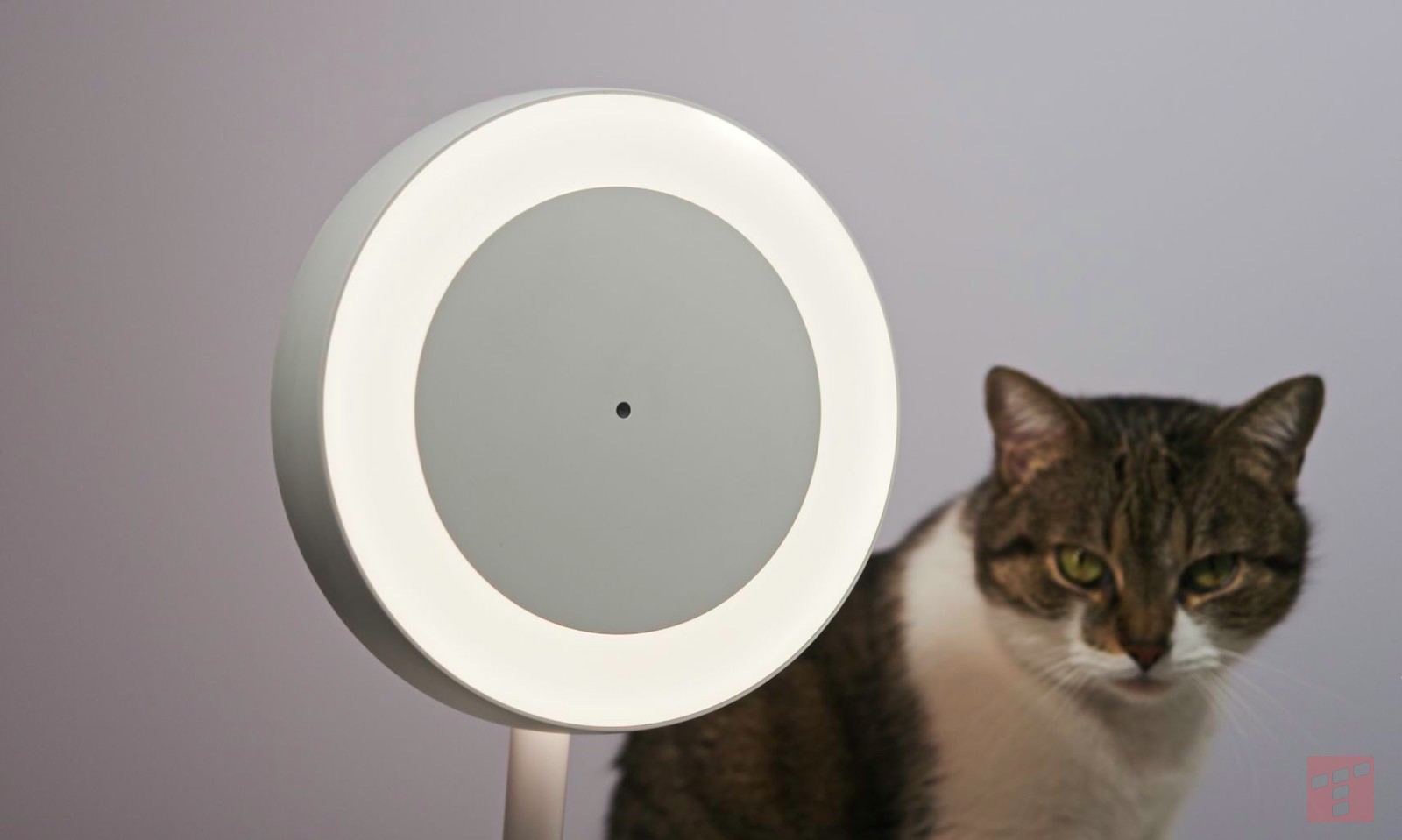 Ta lampka zna sztuczki, których w życiu nie widziałeś. Test WiZ Portrait Desk Lamp
