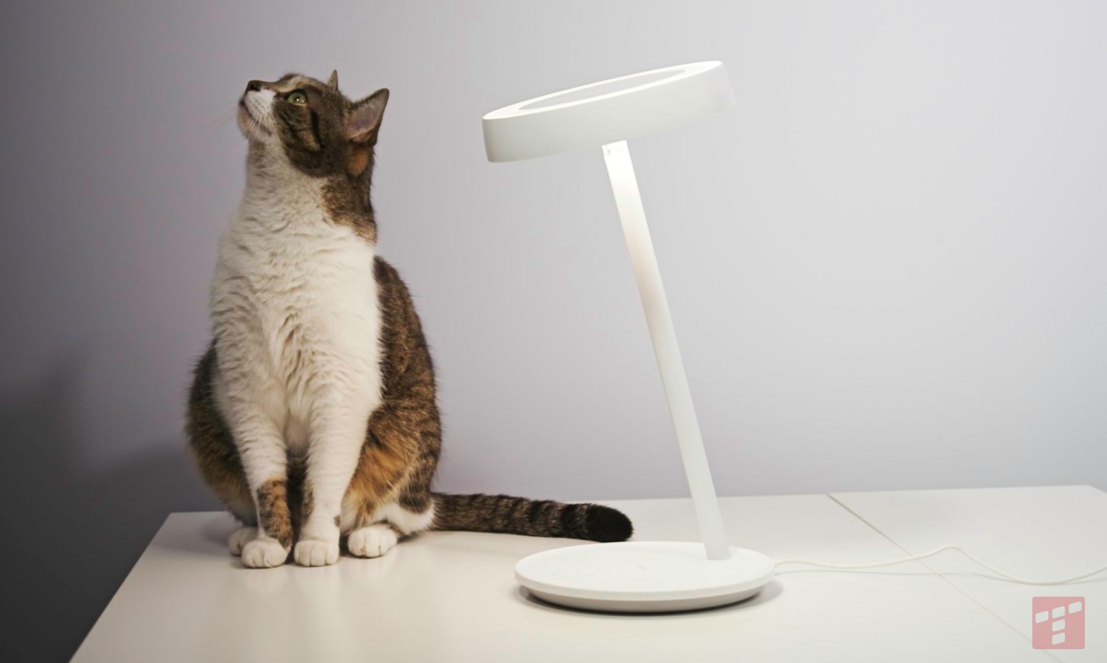 Ta lampka zna sztuczki, których w życiu nie widziałeś. Test WiZ Portrait Desk Lamp