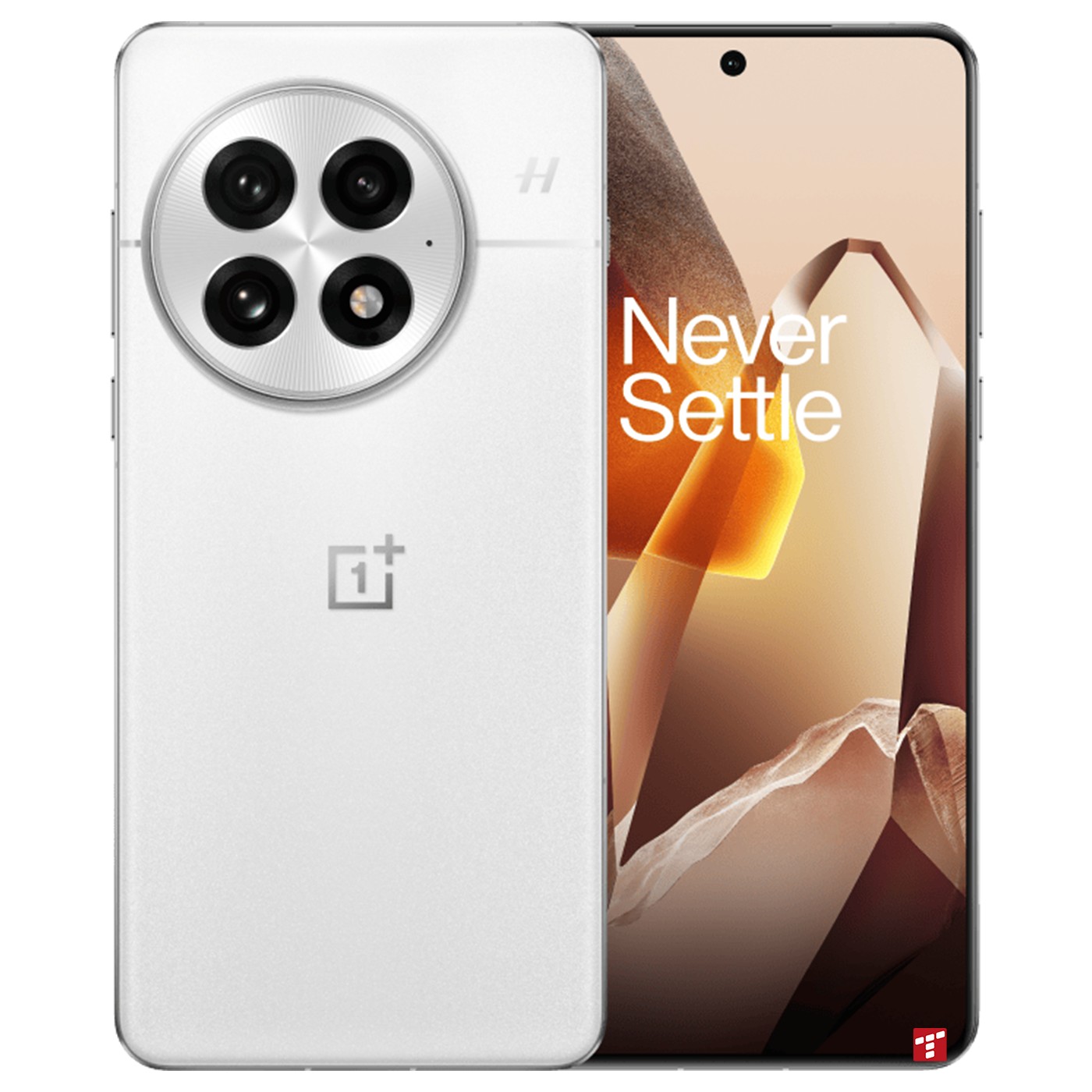 OnePlus 13