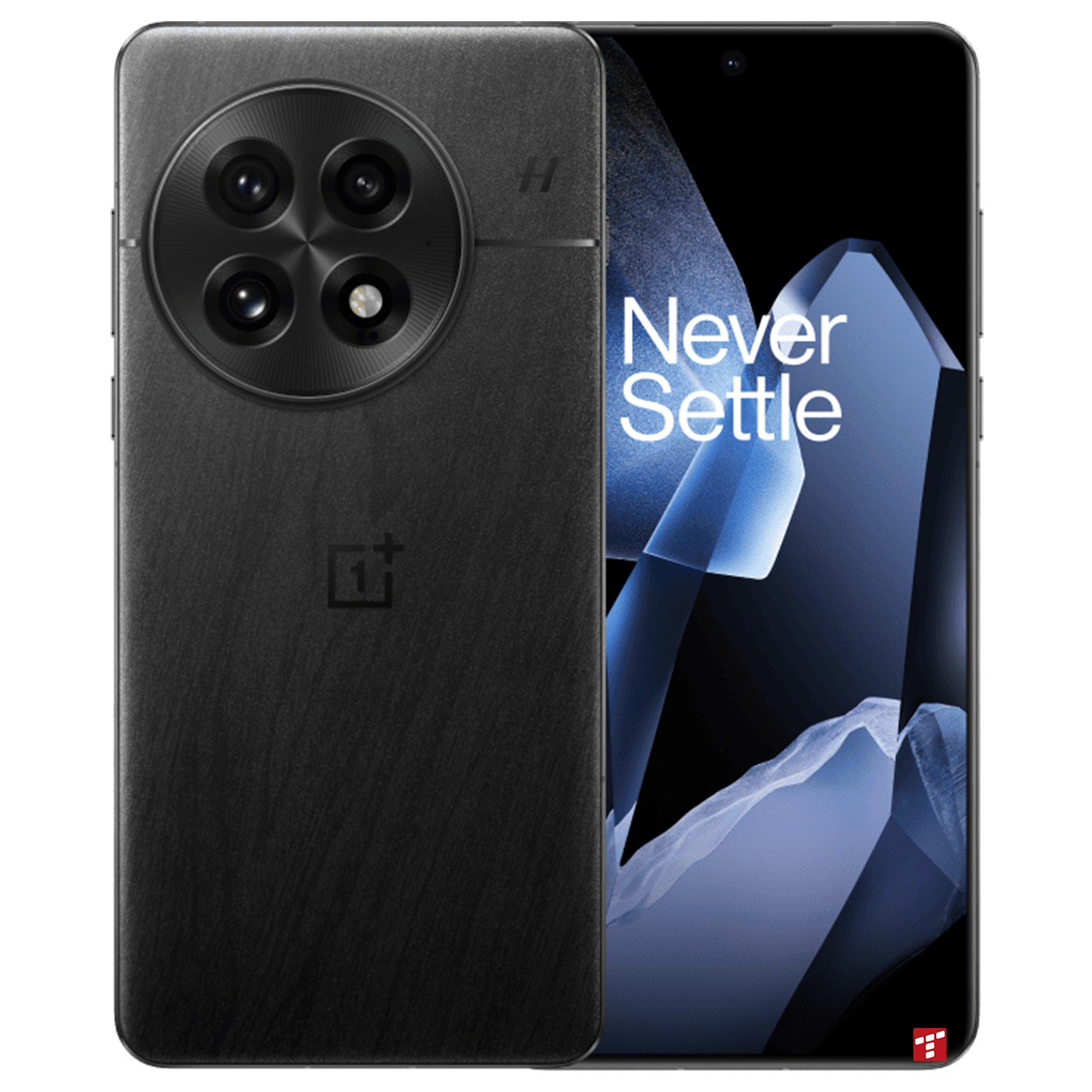 OnePlus 13