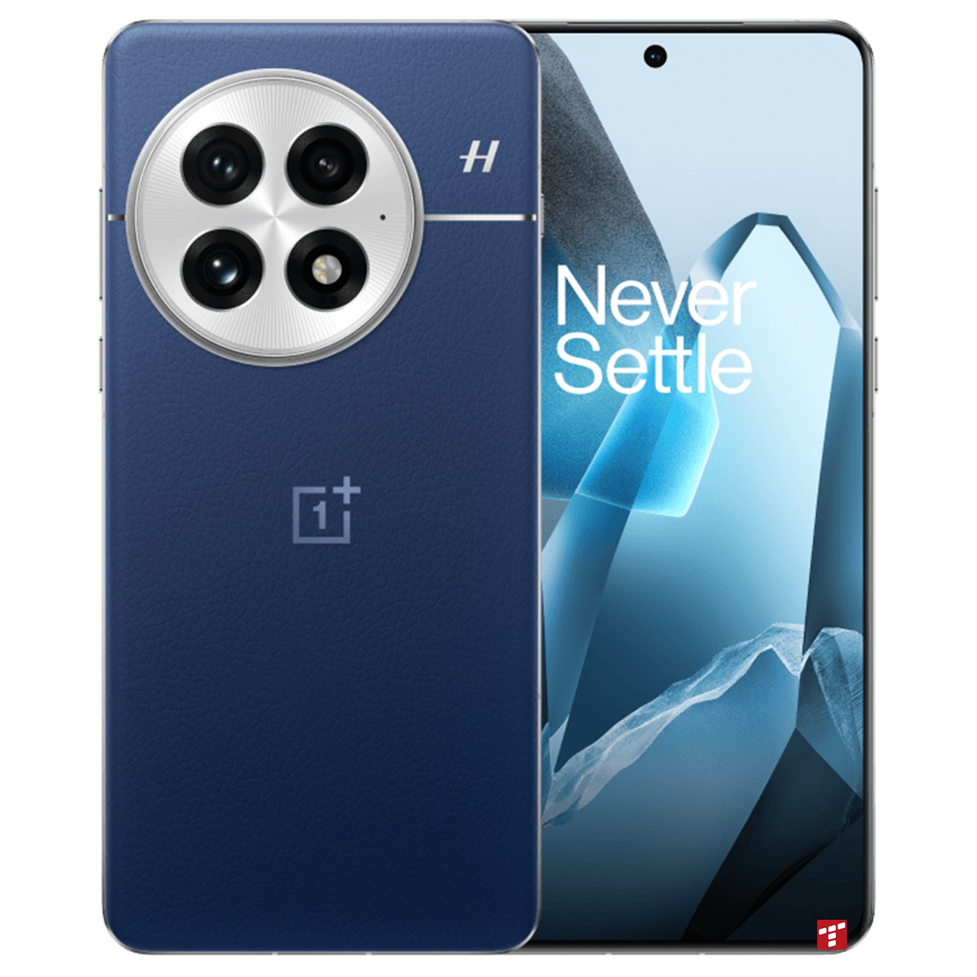 OnePlus 13