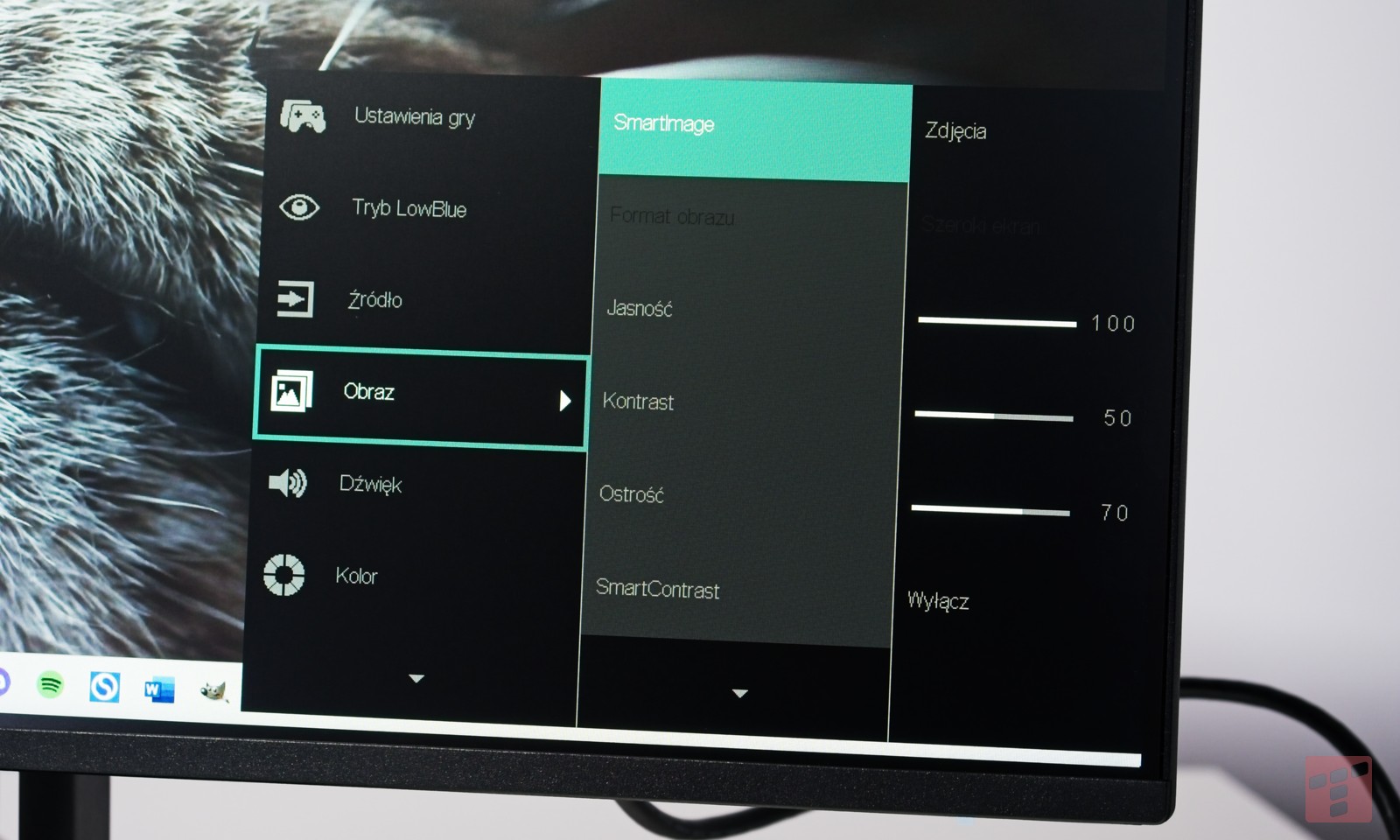 Sprawdzamy monitor z Biedronki. Test Philips 24E1N1100