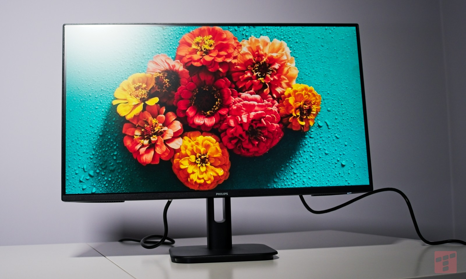 Sprawdzamy monitor z Biedronki. Test Philips 24E1N1100