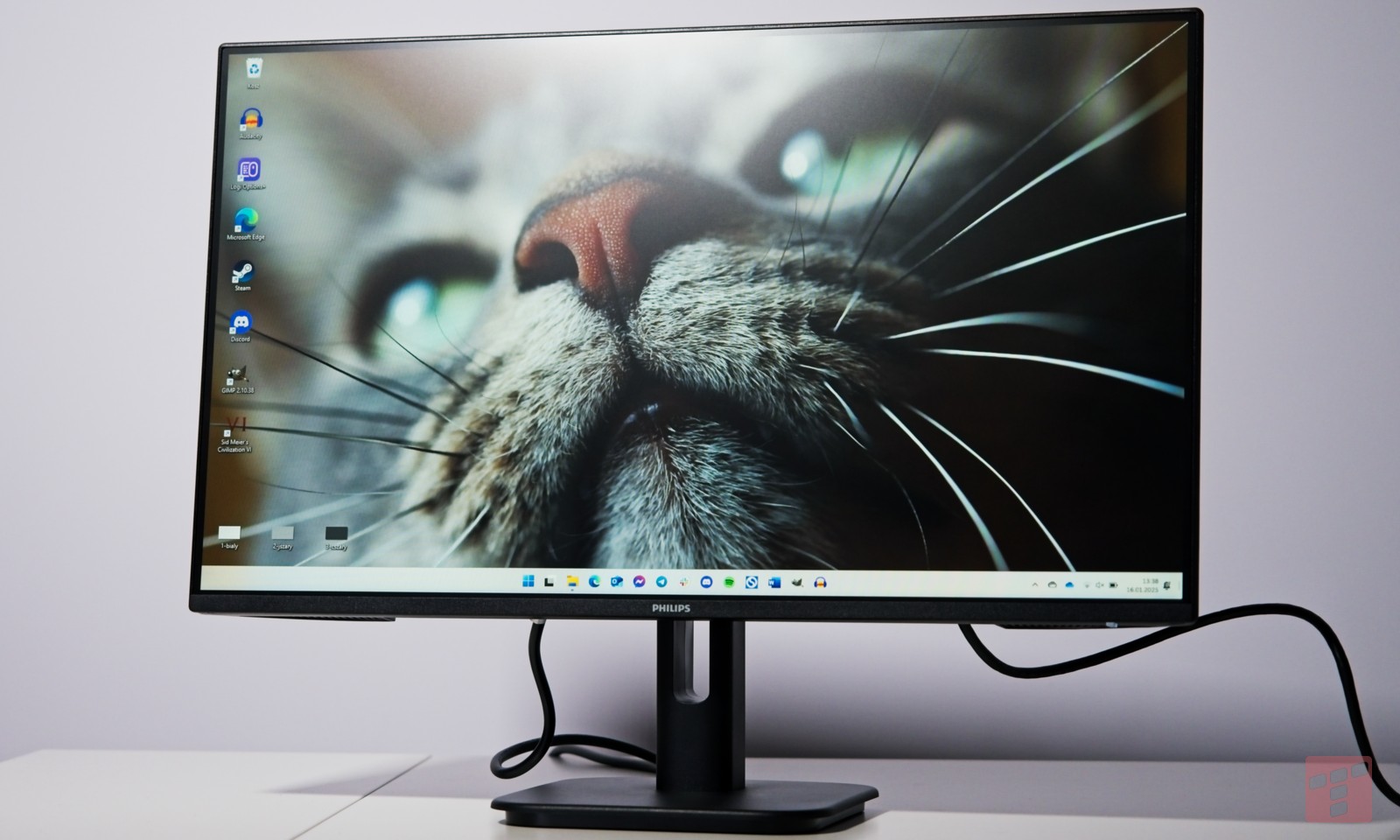 Sprawdzamy monitor z Biedronki. Test Philips 24E1N1100