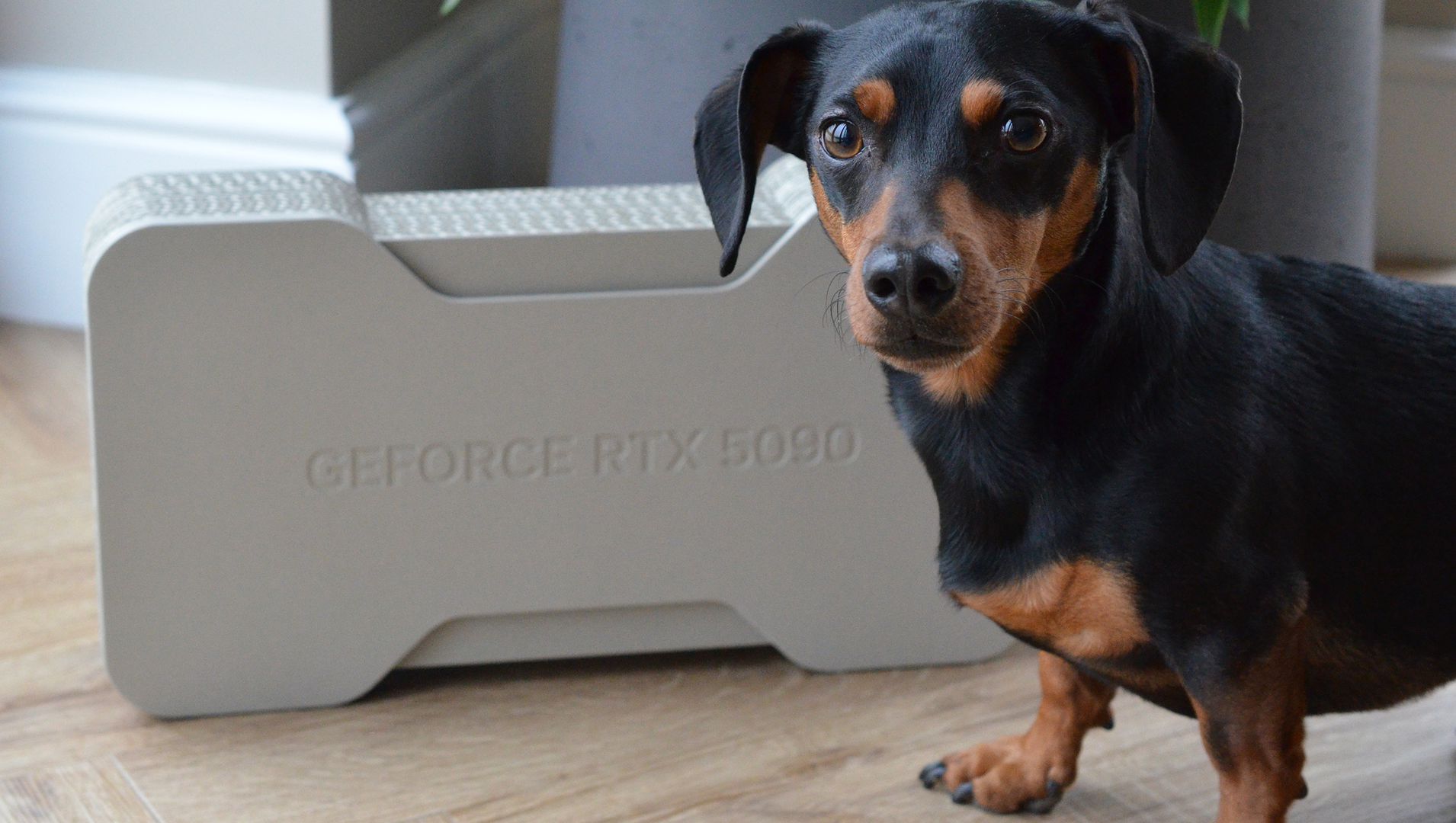 GeForce RTX 5090 będzie mniejszy i bardziej ekologiczny