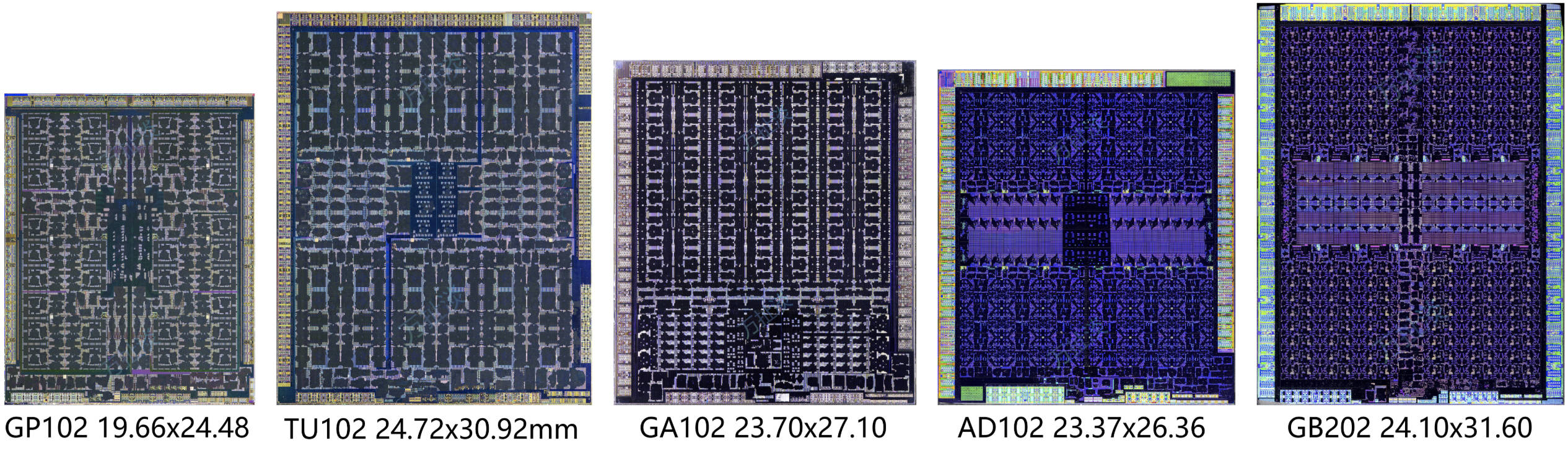 NVIDIA GB202 pozuje w pełnym negliżu. To ogromny układ