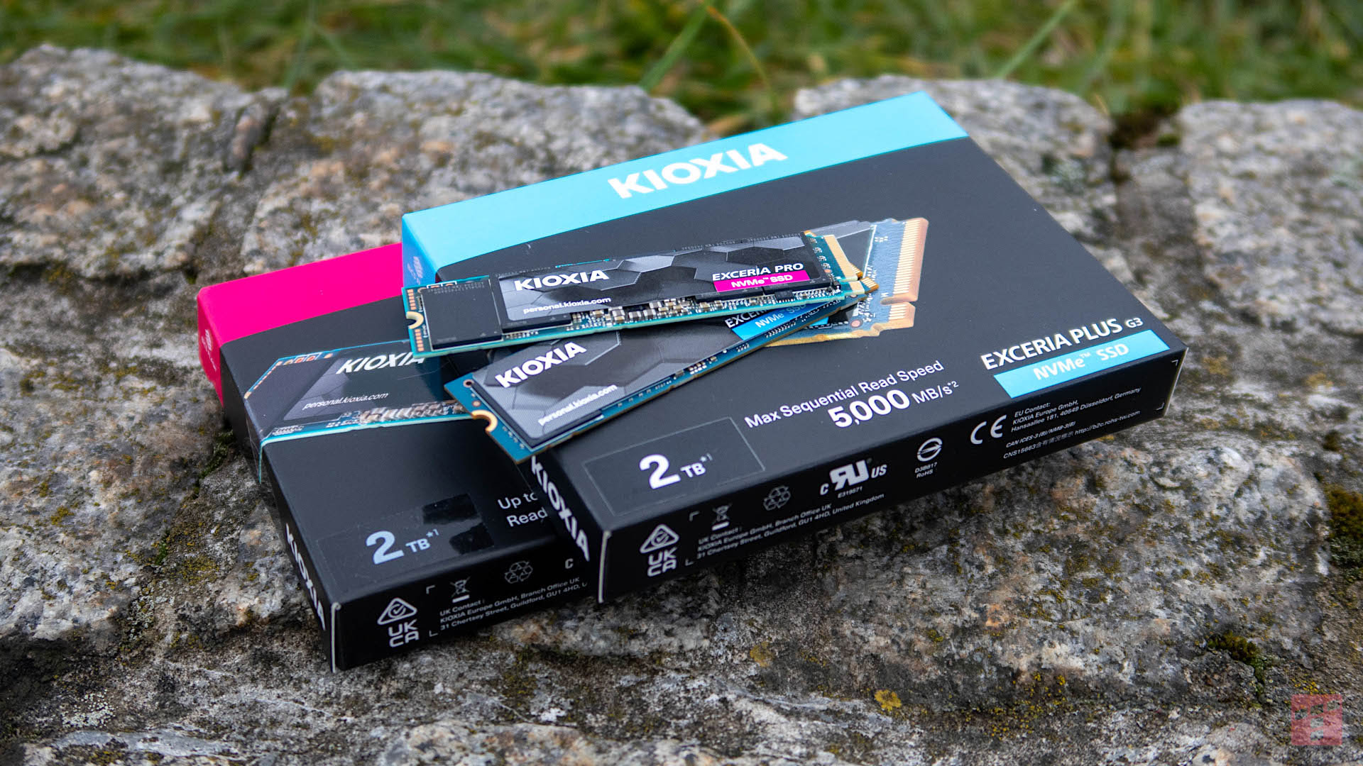 Japońska technologia na każdą kieszeń. Przegląd SSD od Kioxii (Test)