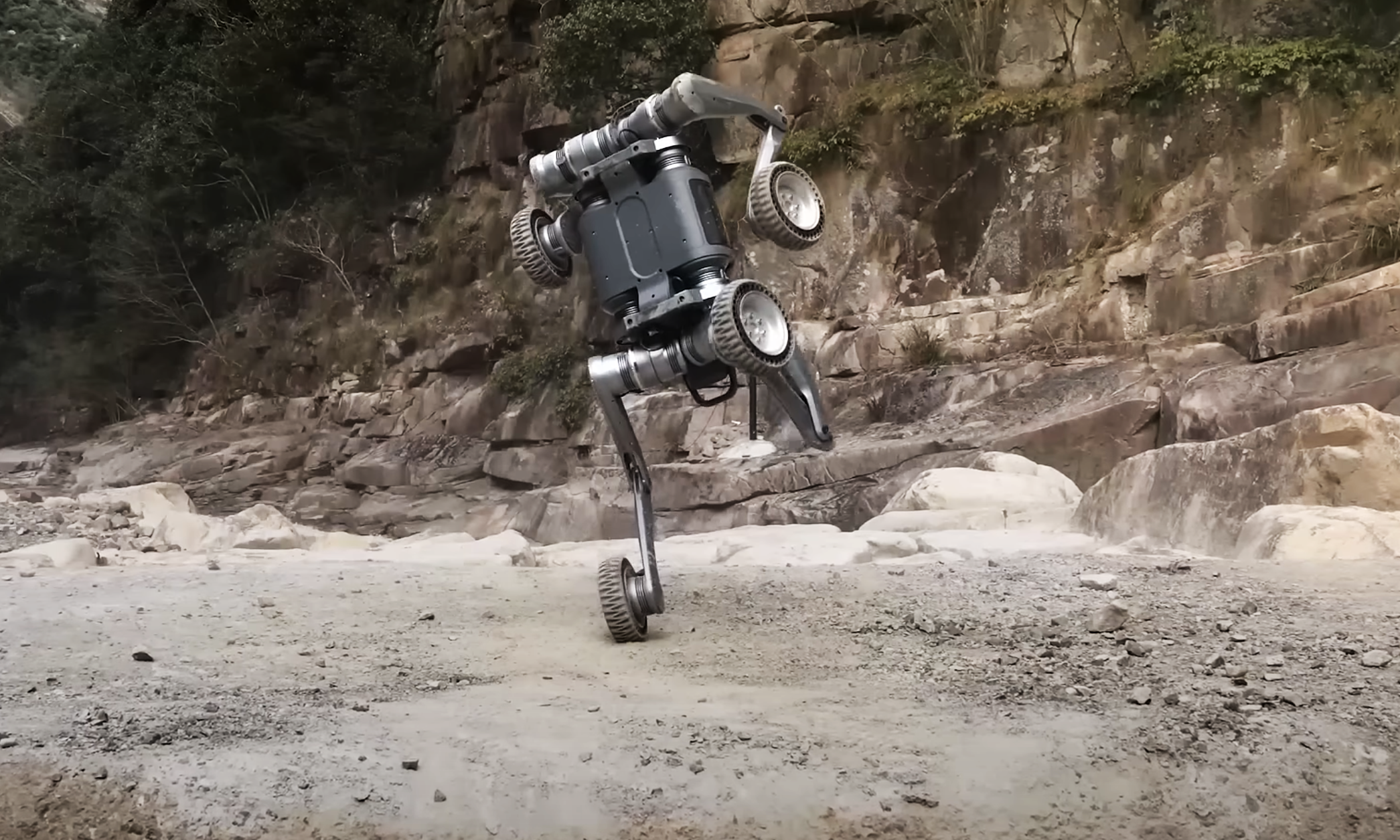 Właśnie takie roboty będą eksterminować ludzkość [wideo]