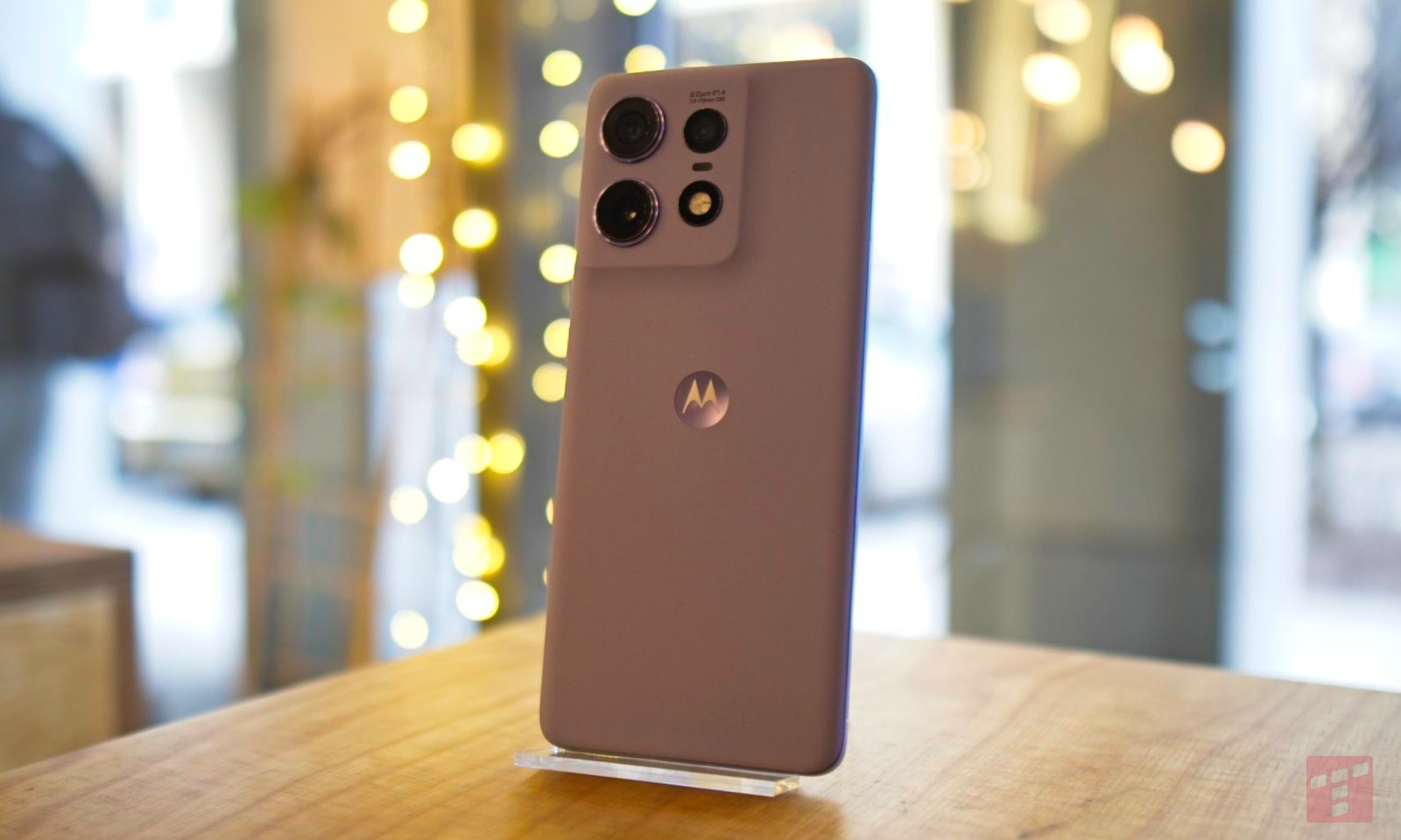 Internet stworzony dla kotów? Motorola to rozumie i obniża ceny
