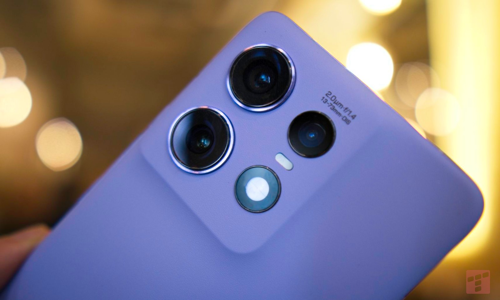 Internet stworzony dla kotów? Motorola to rozumie i obniża ceny