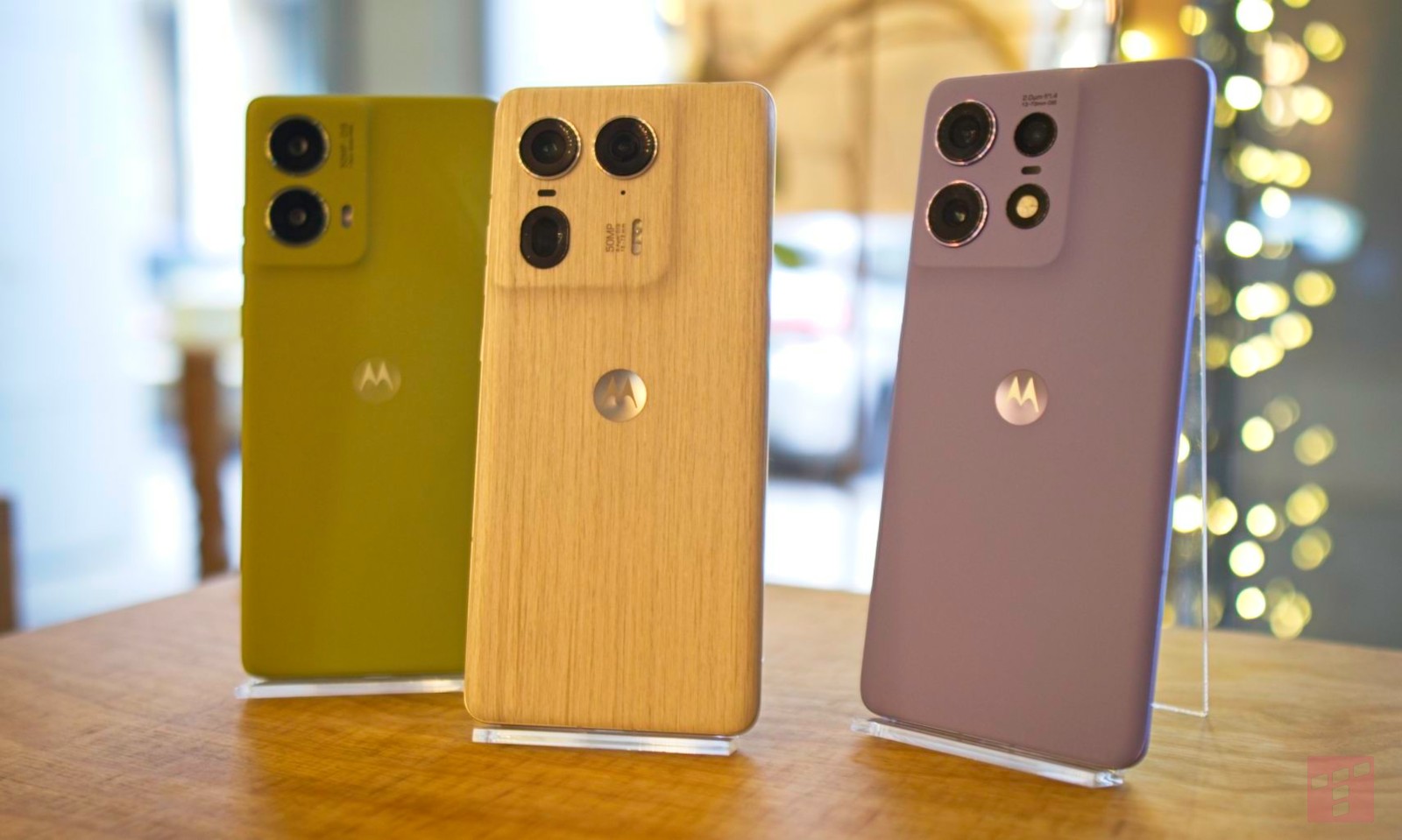 Internet stworzony dla kotów? Motorola to rozumie i obniża ceny