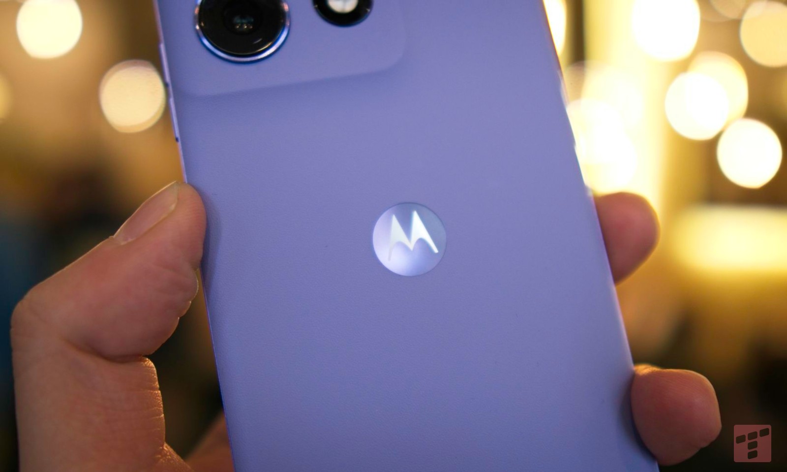 Internet stworzony dla kotów? Motorola to rozumie i obniża ceny