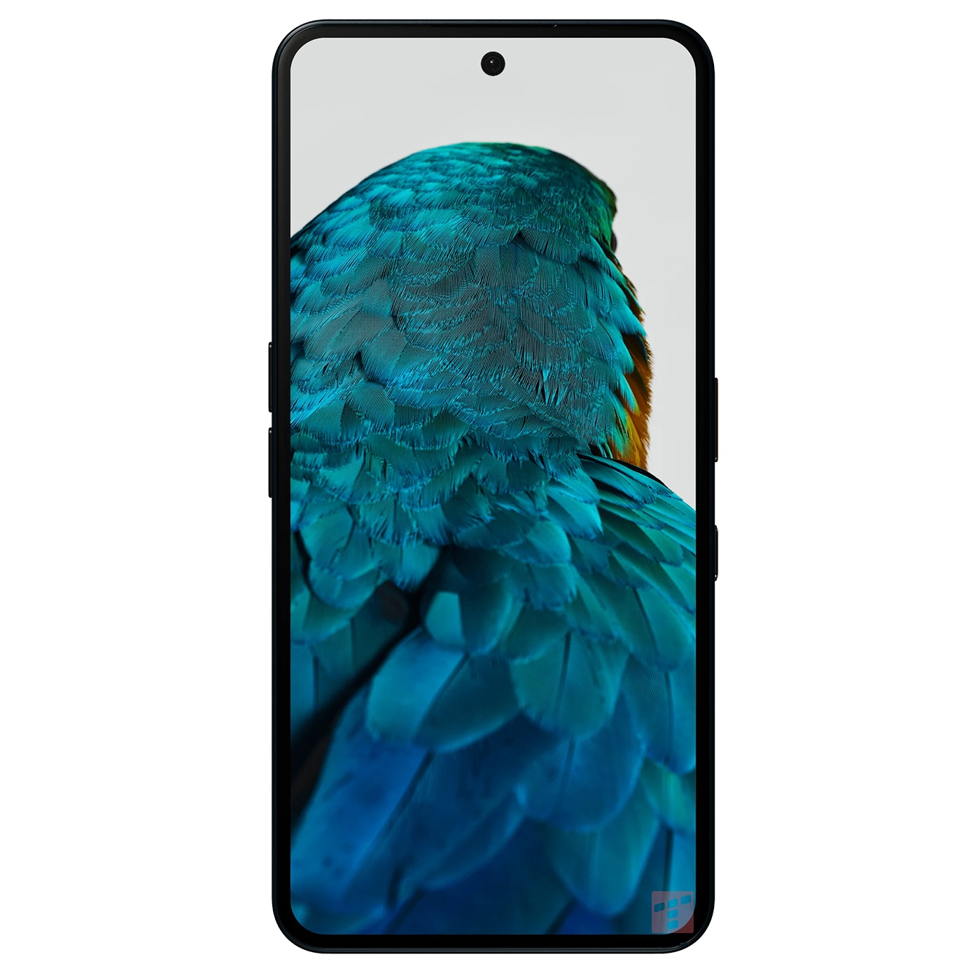 Nothing Phone (3a) Pro