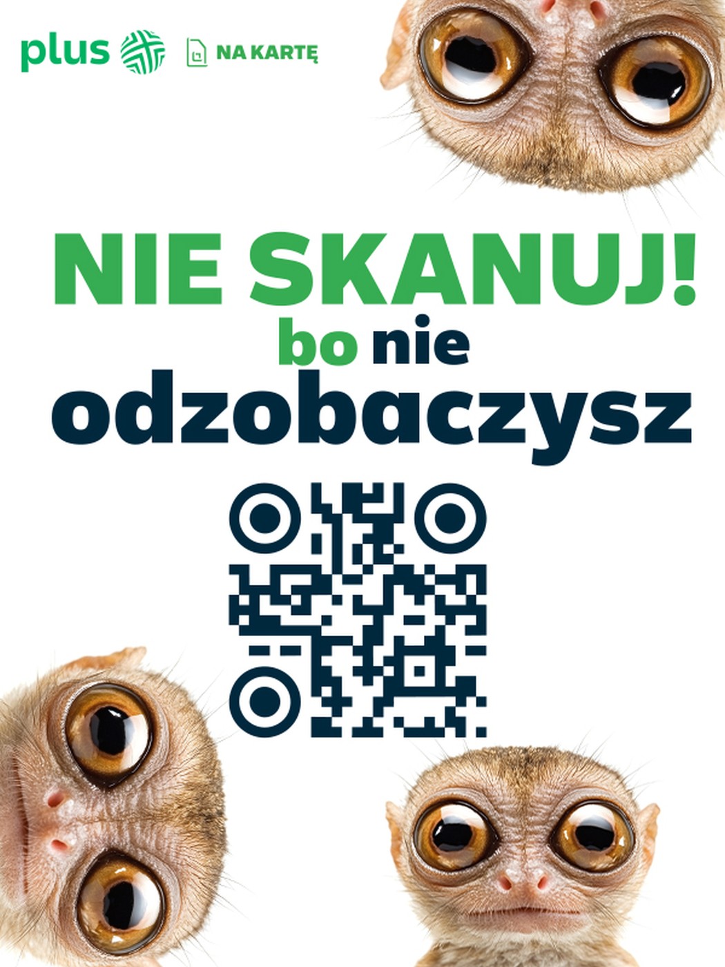 9000 GB w Plusie na kartę to jeszcze więcej zabawy i możliwości