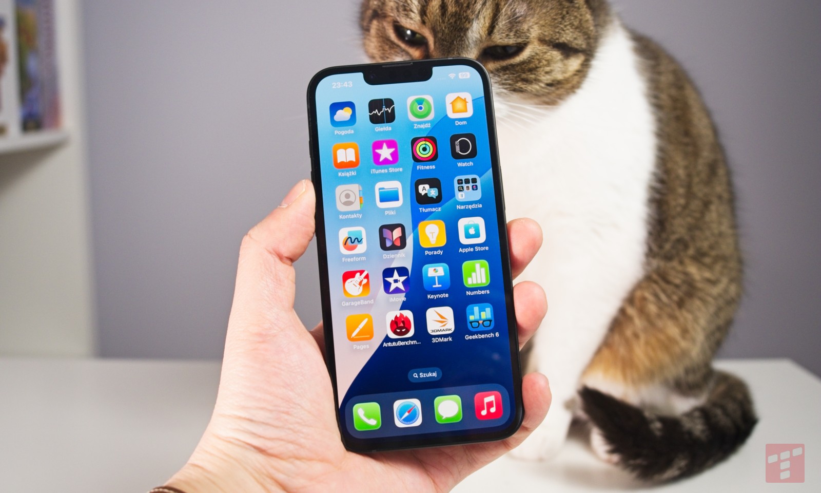Zdjęcia na iPhone będą jeszcze lepsze. A wszystko dzięki Adobe
