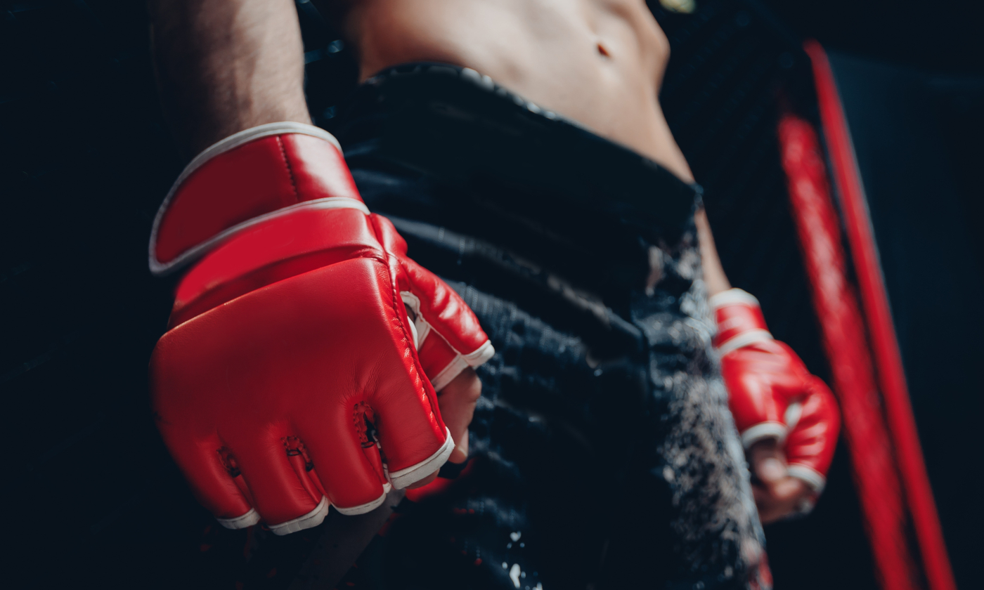 To pierwsza taka gala MMA na świecie. To będzie brutalny, ale bezkrwawy sport