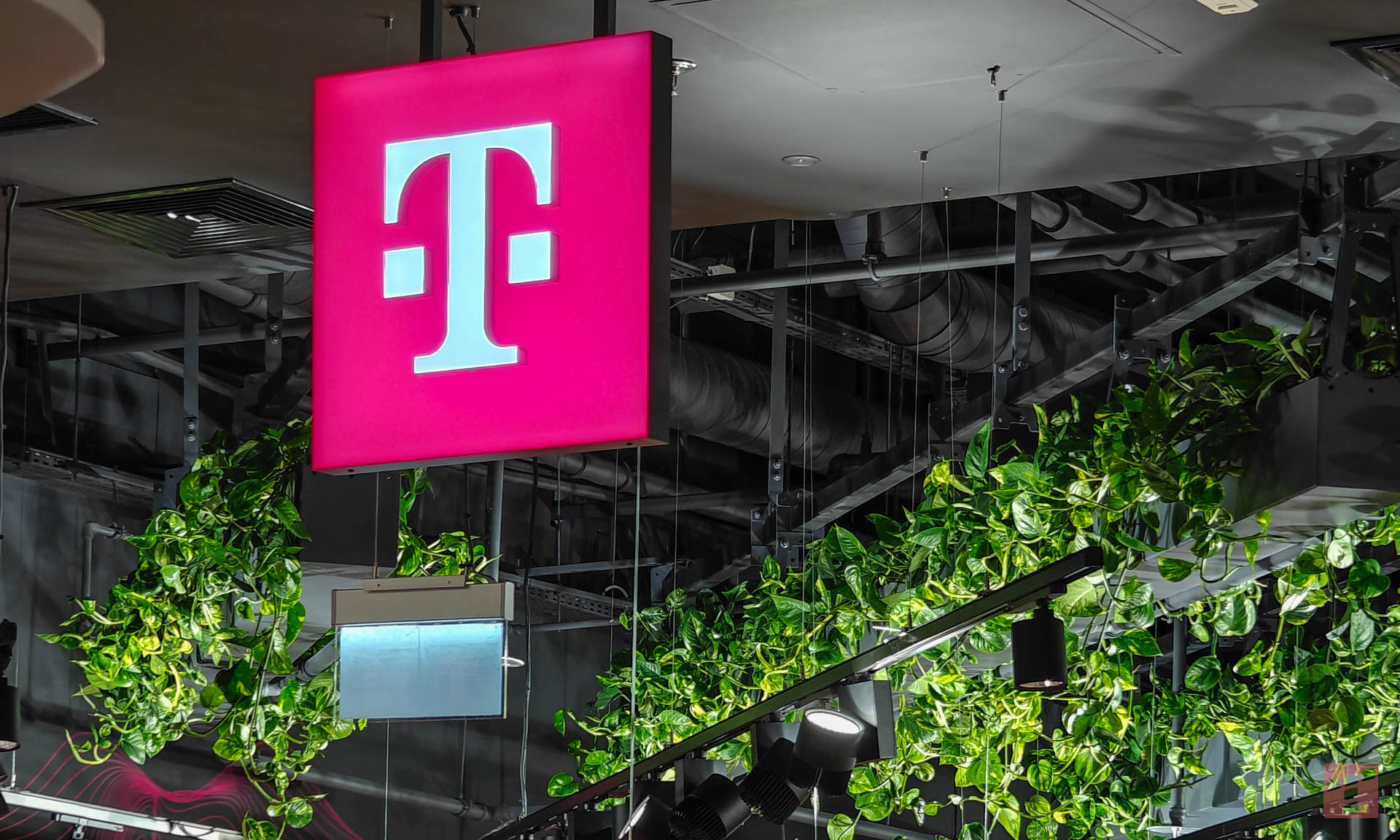 T-Mobile rozszerza ofertę. Skorzystasz w Heyah i tuBiedronka