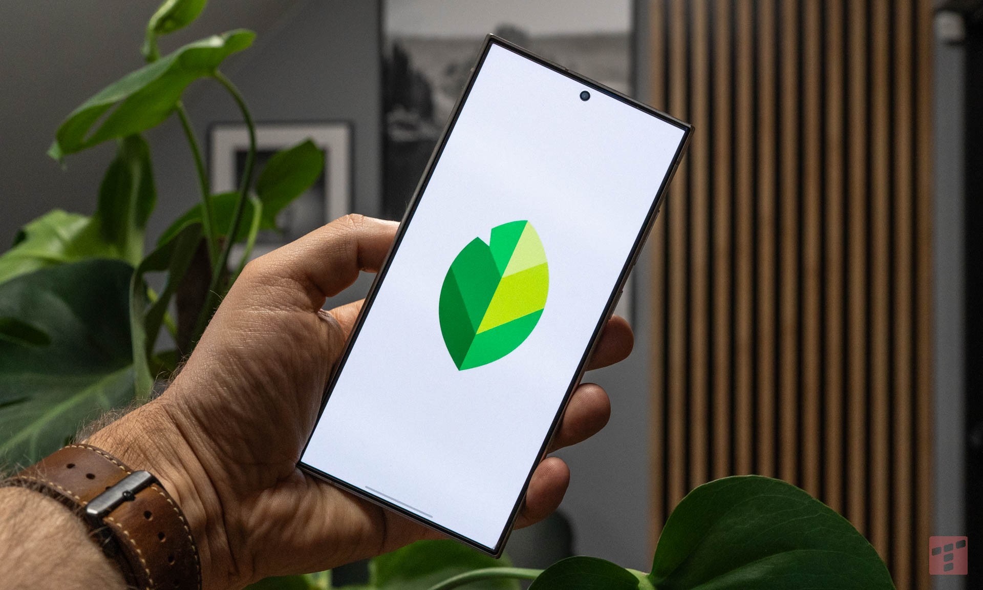 Snapseed 3.0 – Google odświeża kultową aplikację do edycji zdjęć