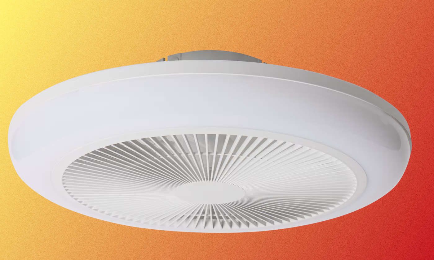 Długie kolejki w Action? To właśnie za tym ludzie stoją