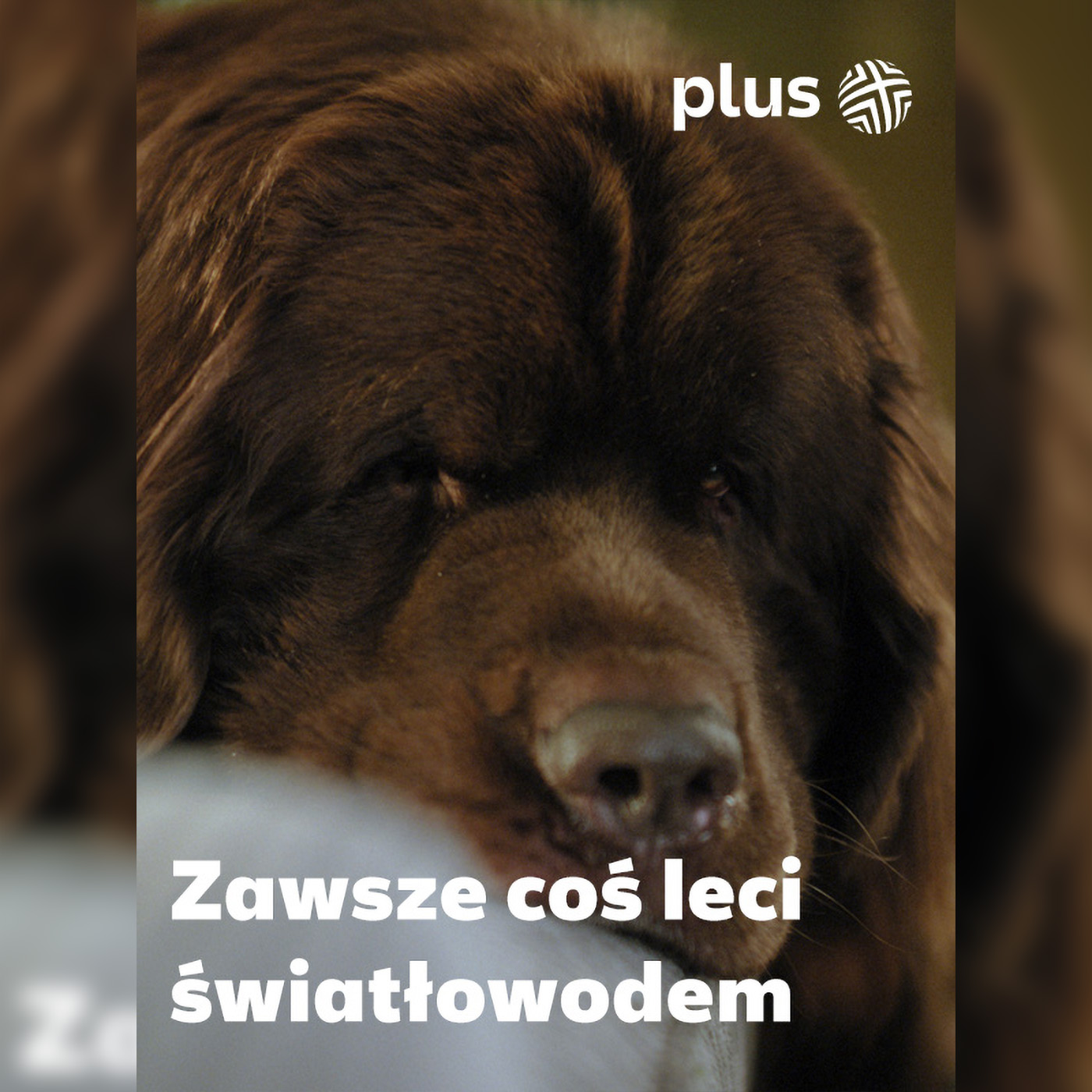 Plus wzmacnia ofertę, czyli Internet bez limitu i elastyczny światłowód