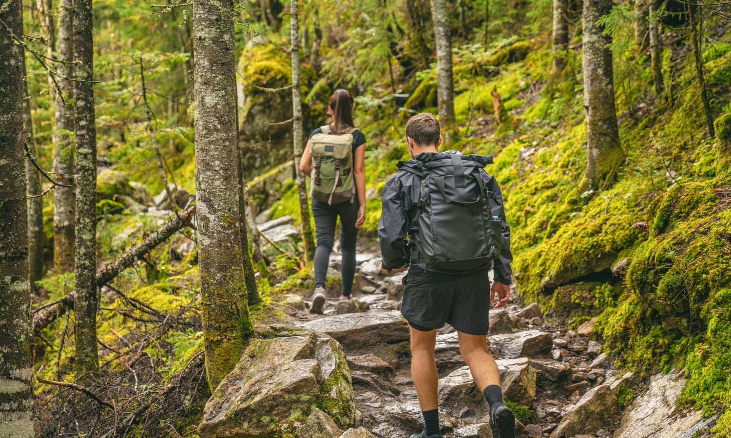 Wybrali się w Tatry. Sięgnęli po Mapy Google i zaraz pożałowali