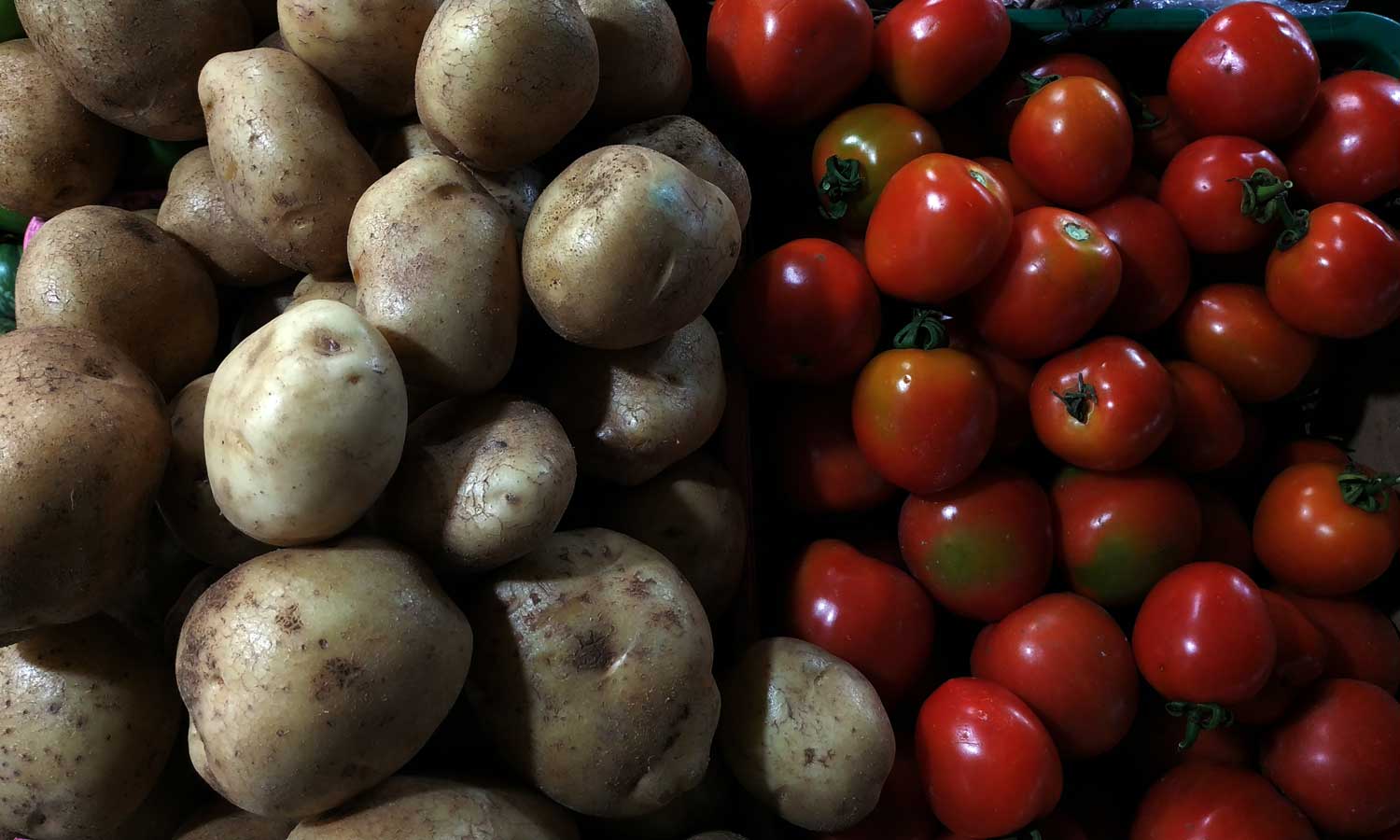 Ziemniak pochodzi do pomidora? Naukowcy zaskoczyli samych siebie