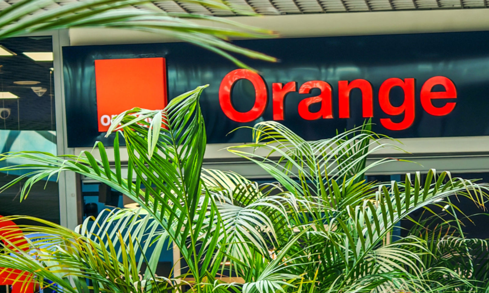 Orange unowocześnił dwie szkoły w Łodzi. Teraz są bardziej smart