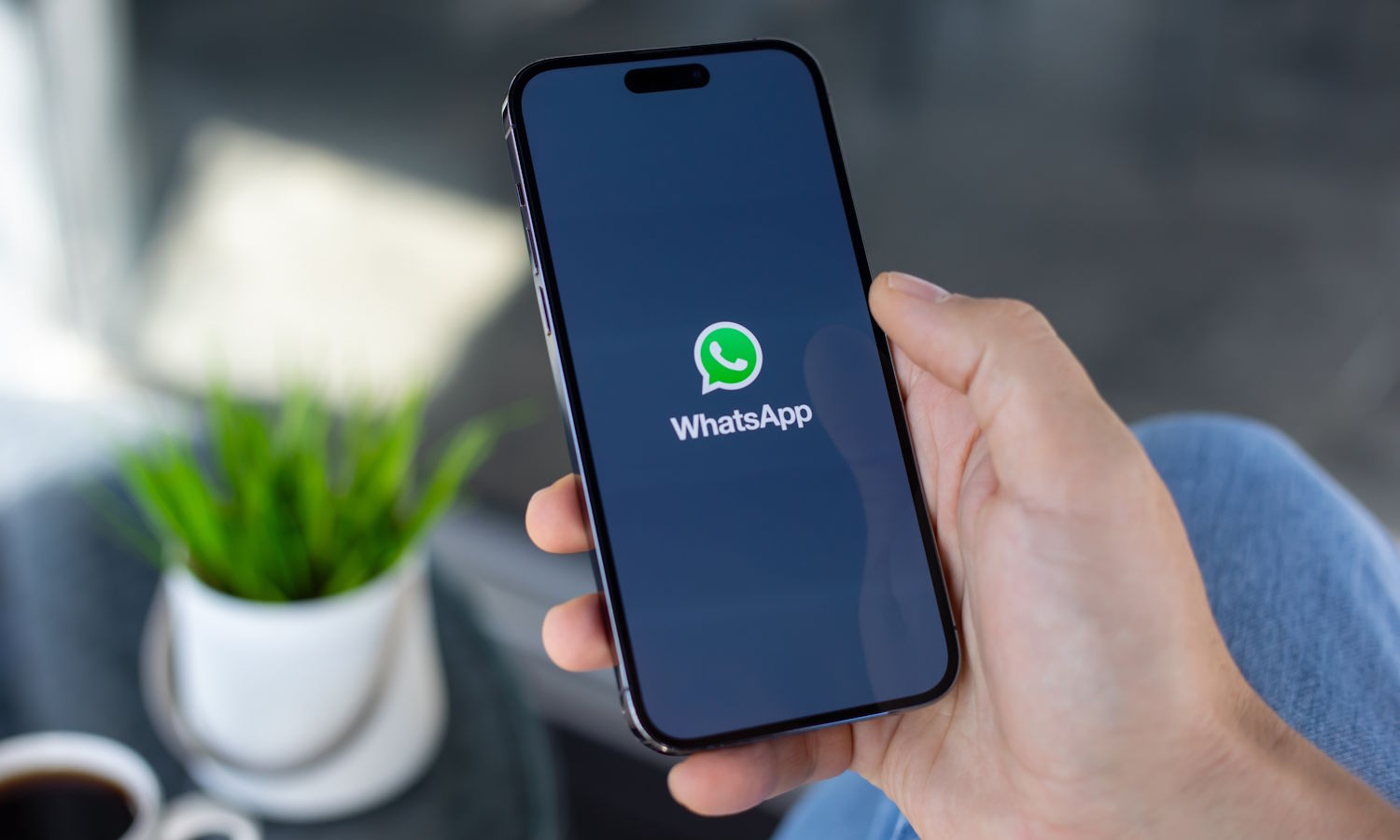 Masz iPhone'a albo MacBooka? Pilnie zaktualizuj WhatsAppa