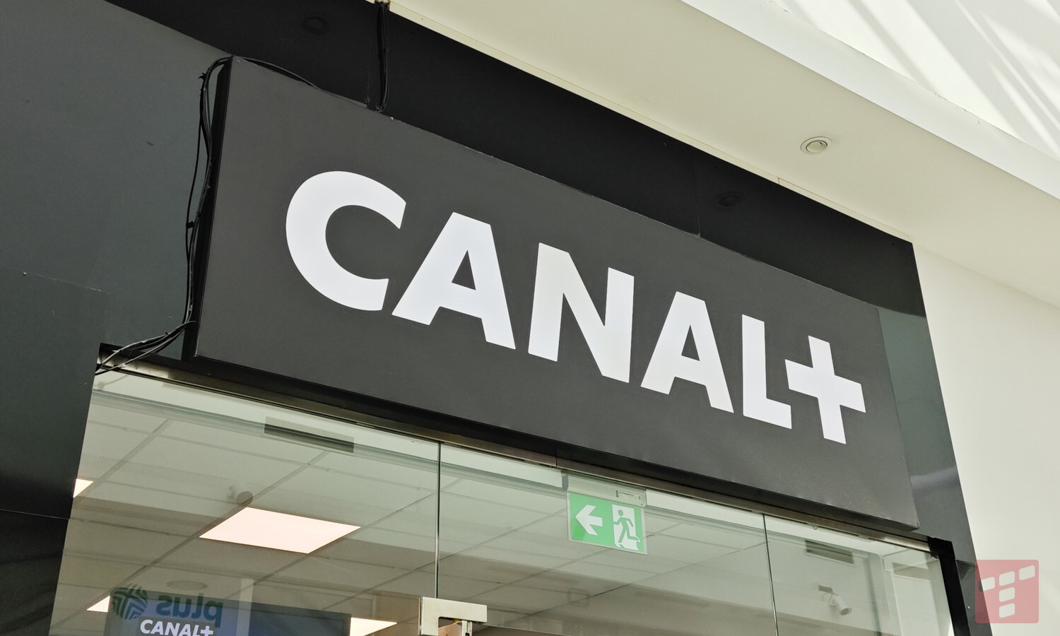 CANAL+ z darmówką dla kibiców. Wystarczy jedno kliknięcie