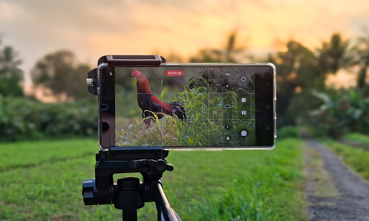 Samsung ma przełomowy zoom dla telefonów... ale nie dla Galaxy