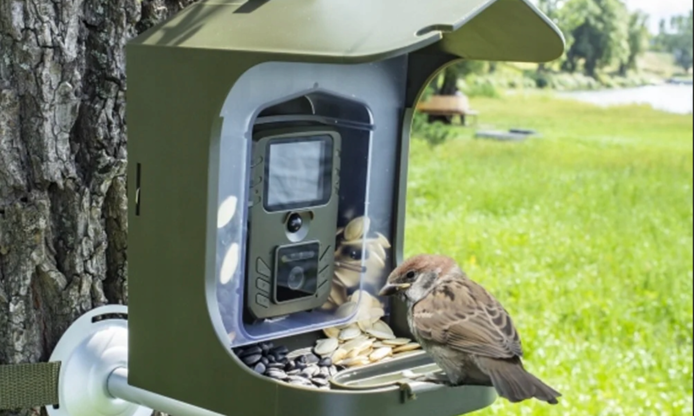 Lubisz ptaszki? Ten sprzęt po prostu musisz mieć