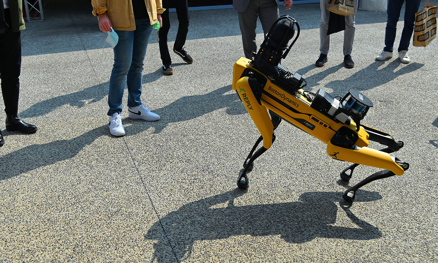 Poznasz robota humanoidalnego i dotkniesz psa-robota. Narazie w muzeum