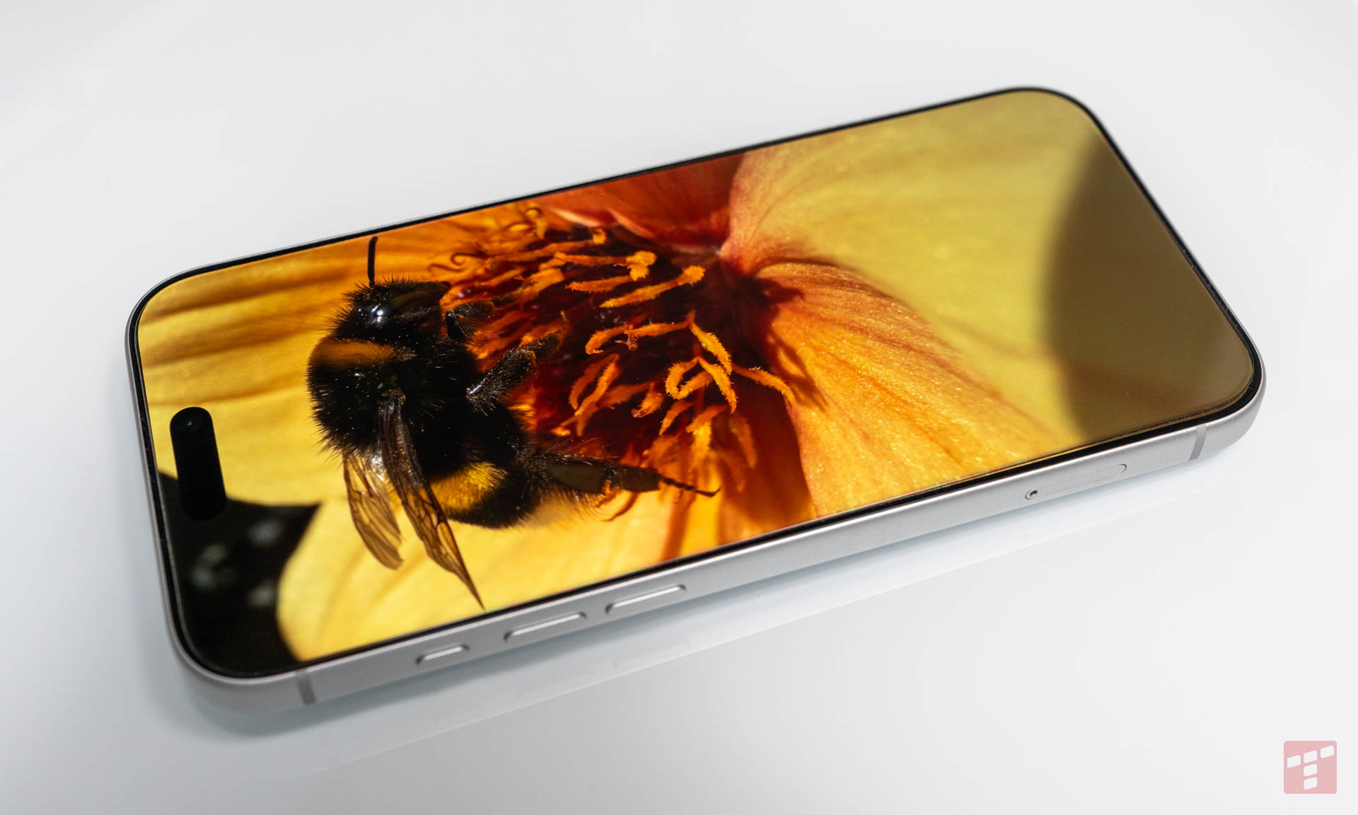 iPhone 17 Pro Max – piękny, potężny i… wciąż nie do końca dla Polaków (test)
