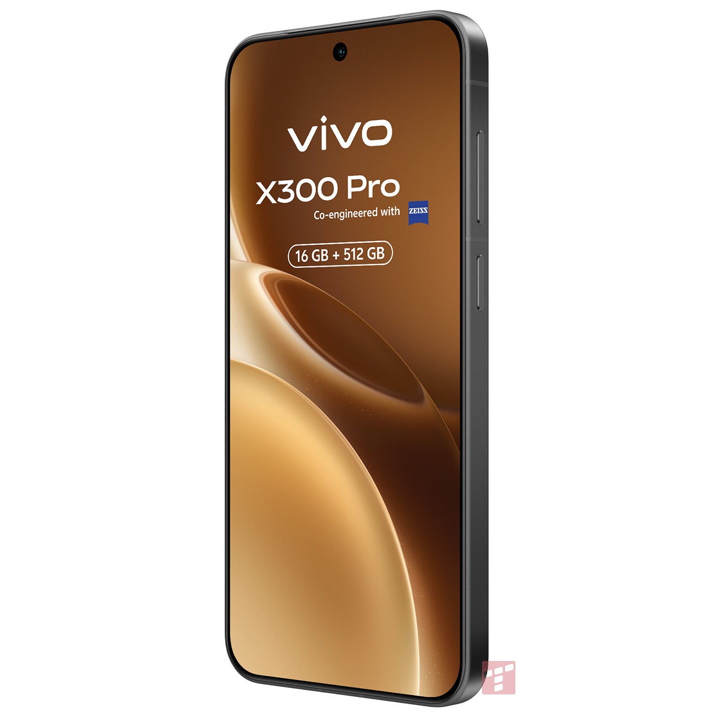 Vivo X300 Pro