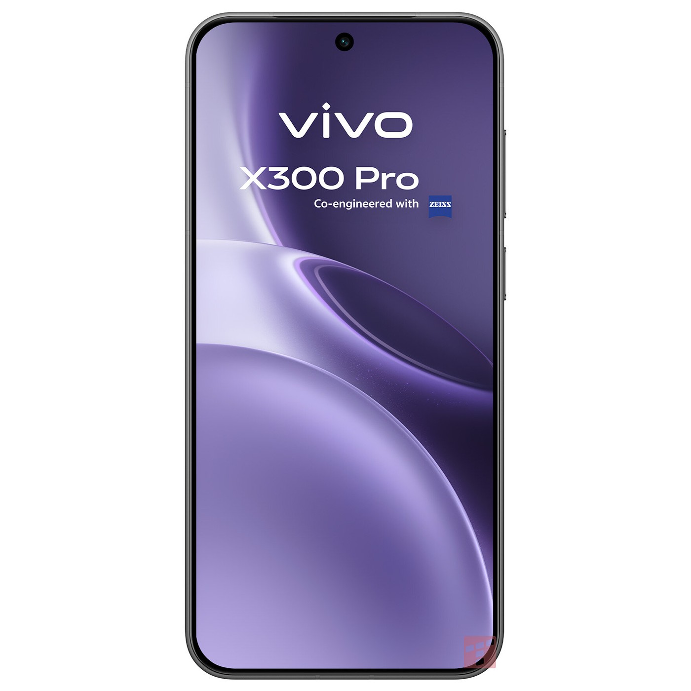 Vivo X300 Pro