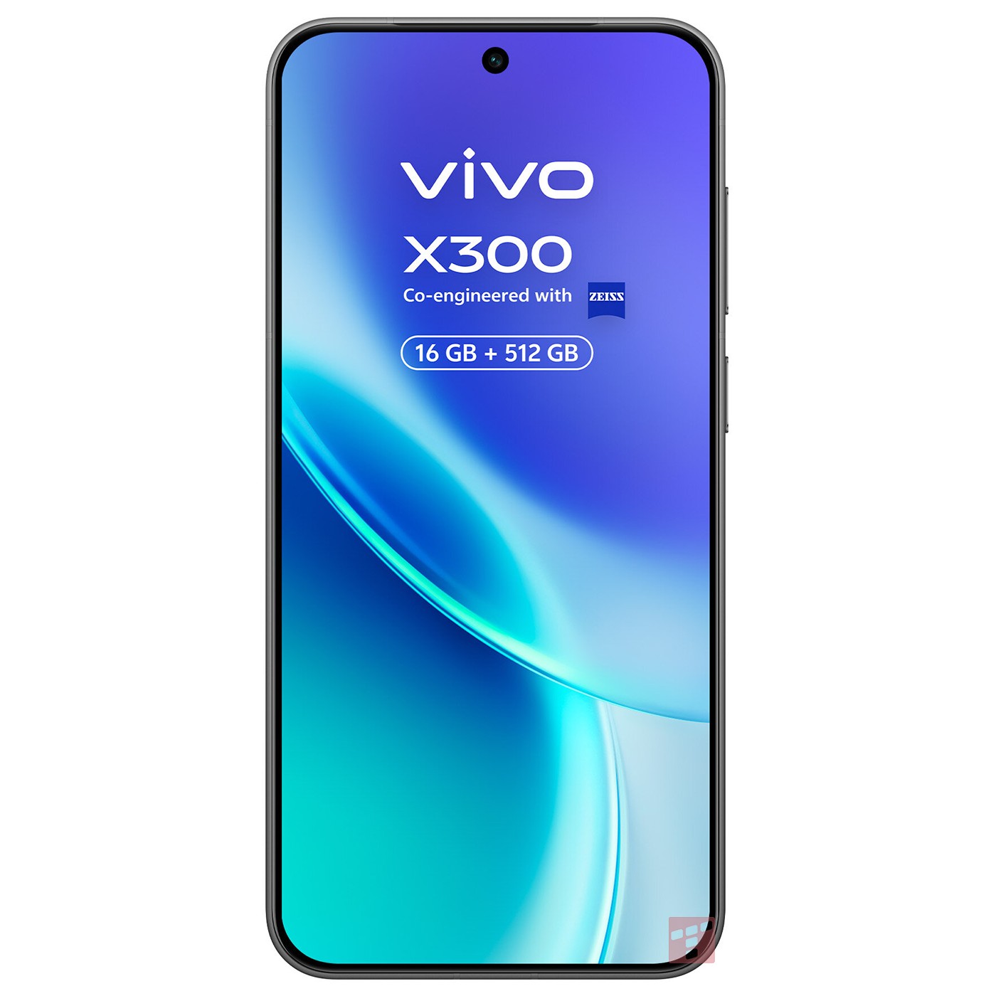 Vivo X300