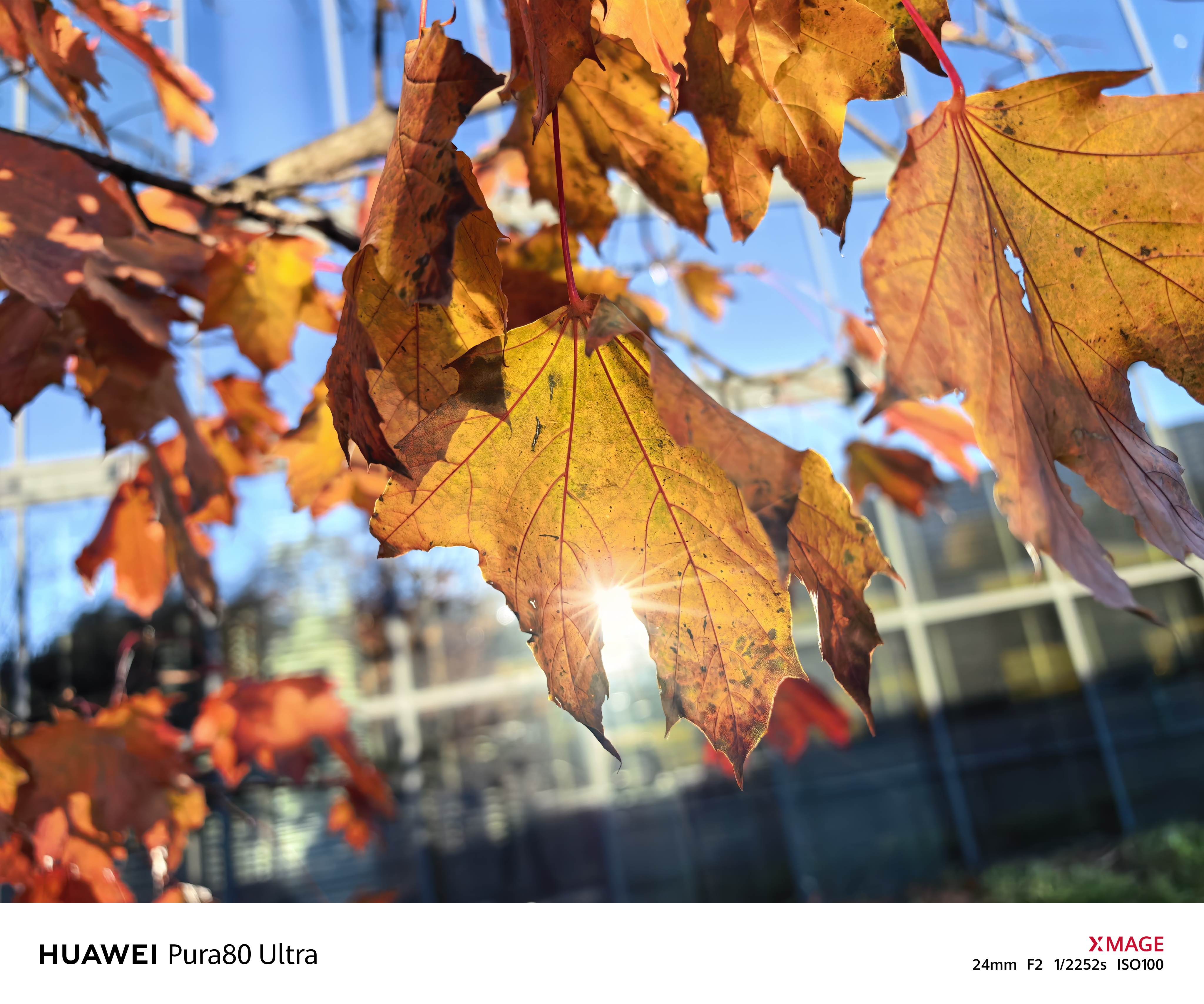 Możesz sprzedać lustrzankę. Parę słów o aparacie w HUAWEI Pura 80 Ultra