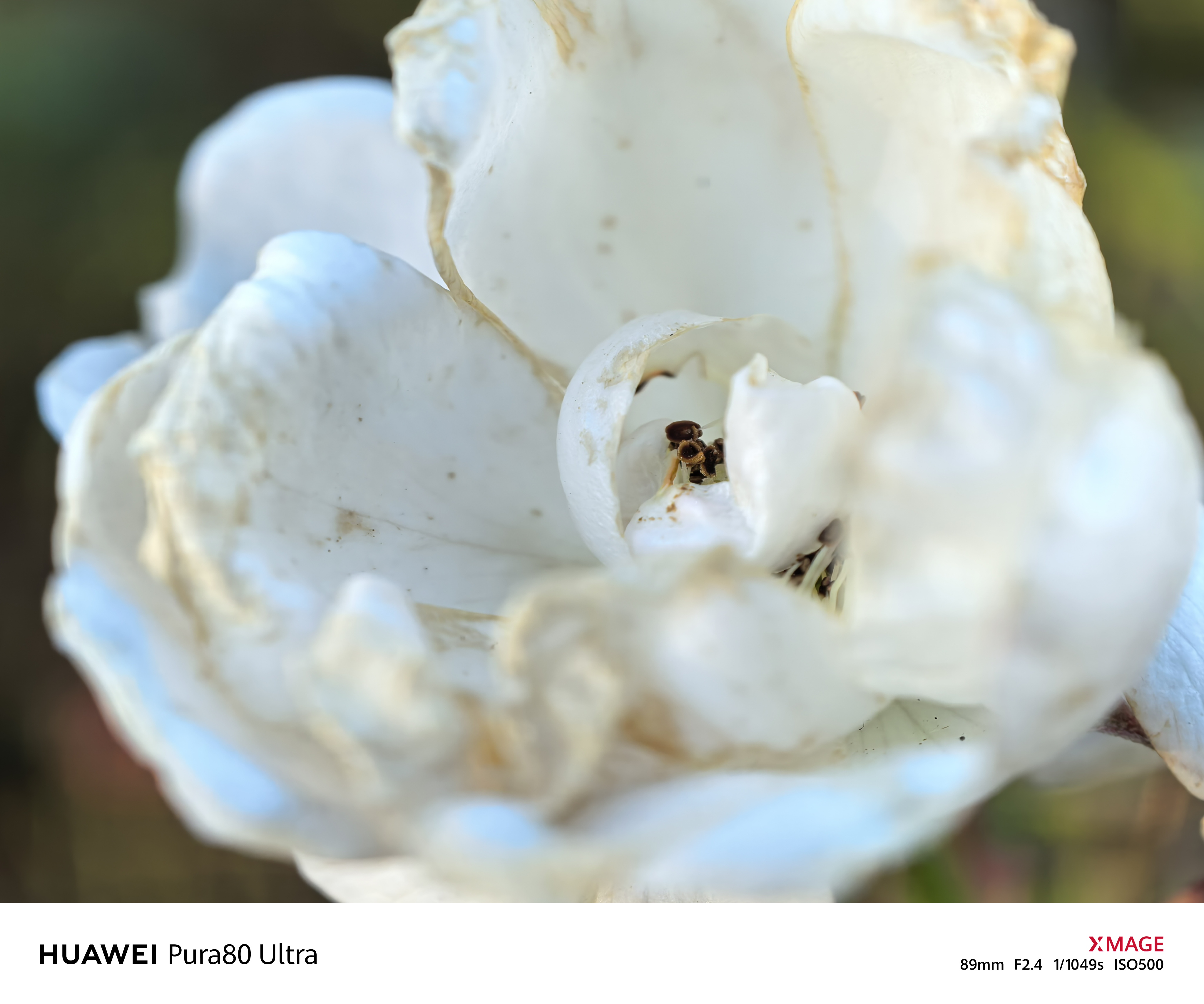 Możesz sprzedać lustrzankę. Parę słów o aparacie w HUAWEI Pura 80 Ultra