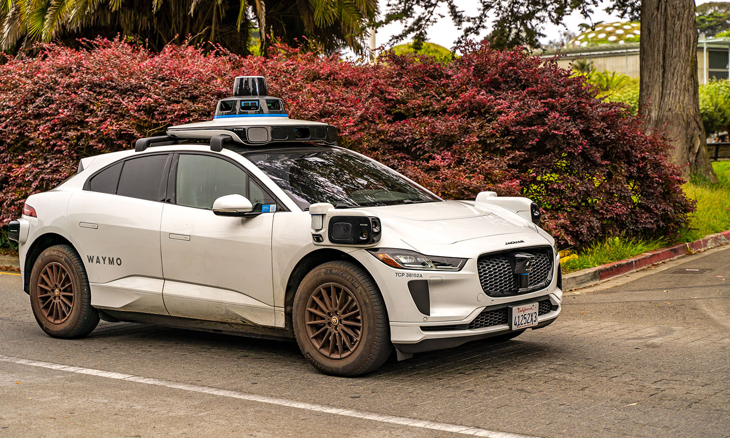 Waymo idzie jak burza. Kolejne miasta na celowniku