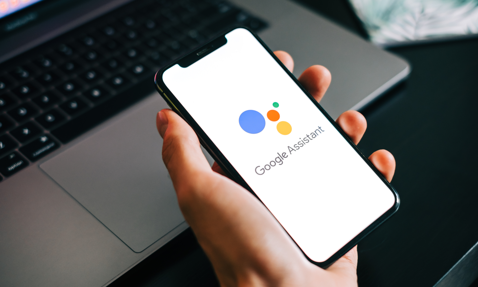 Google ubija kolejną usługę. Poczciwy Asystent idzie do lamusa