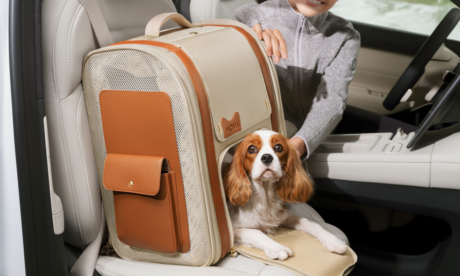 Kochasz zwierzęta? To tej oferty nie możesz przegapić