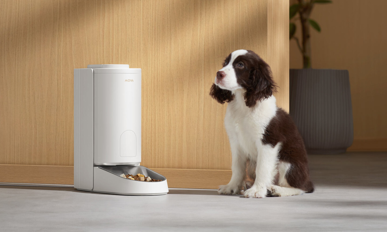 Kochasz zwierzęta? To tej oferty nie możesz przegapić