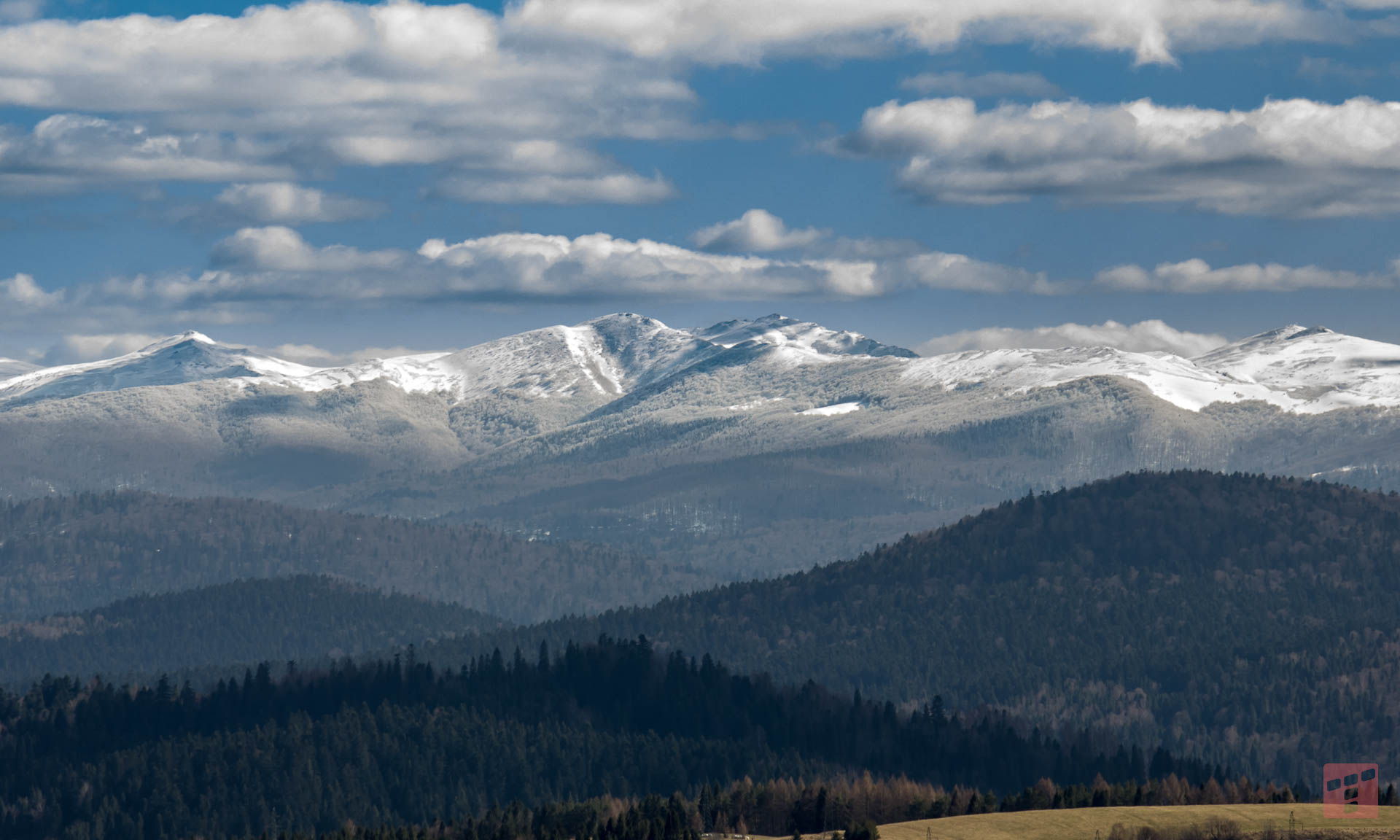 Absurd na granicy. Telefon woli roaming. Ujawniamy prawdziwy powód