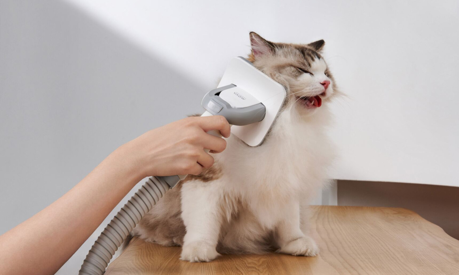 Back Friday 2025. Zbieramy najlepsze promocje