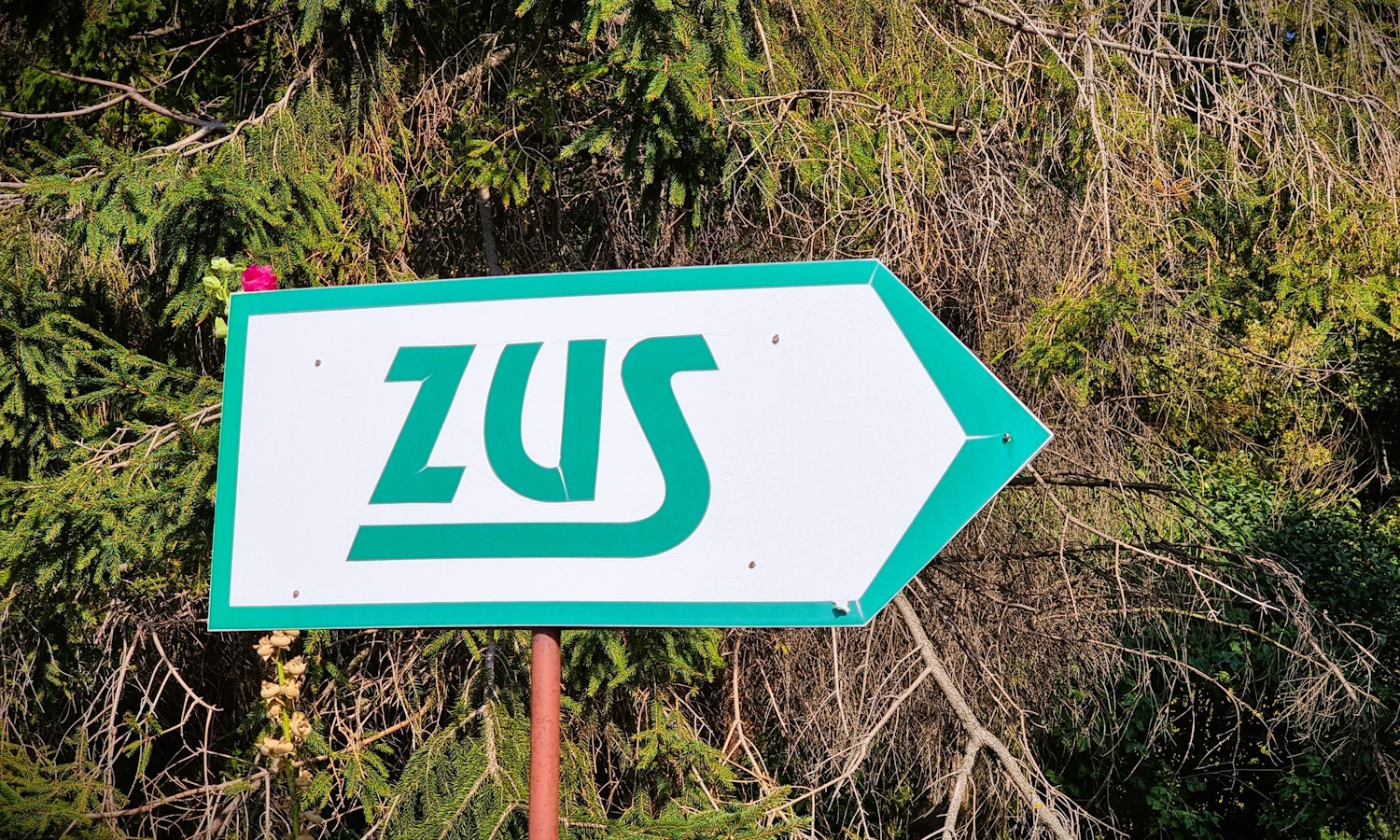 ZUS maile pisze. Na ten lepiej nie odpowiadaj