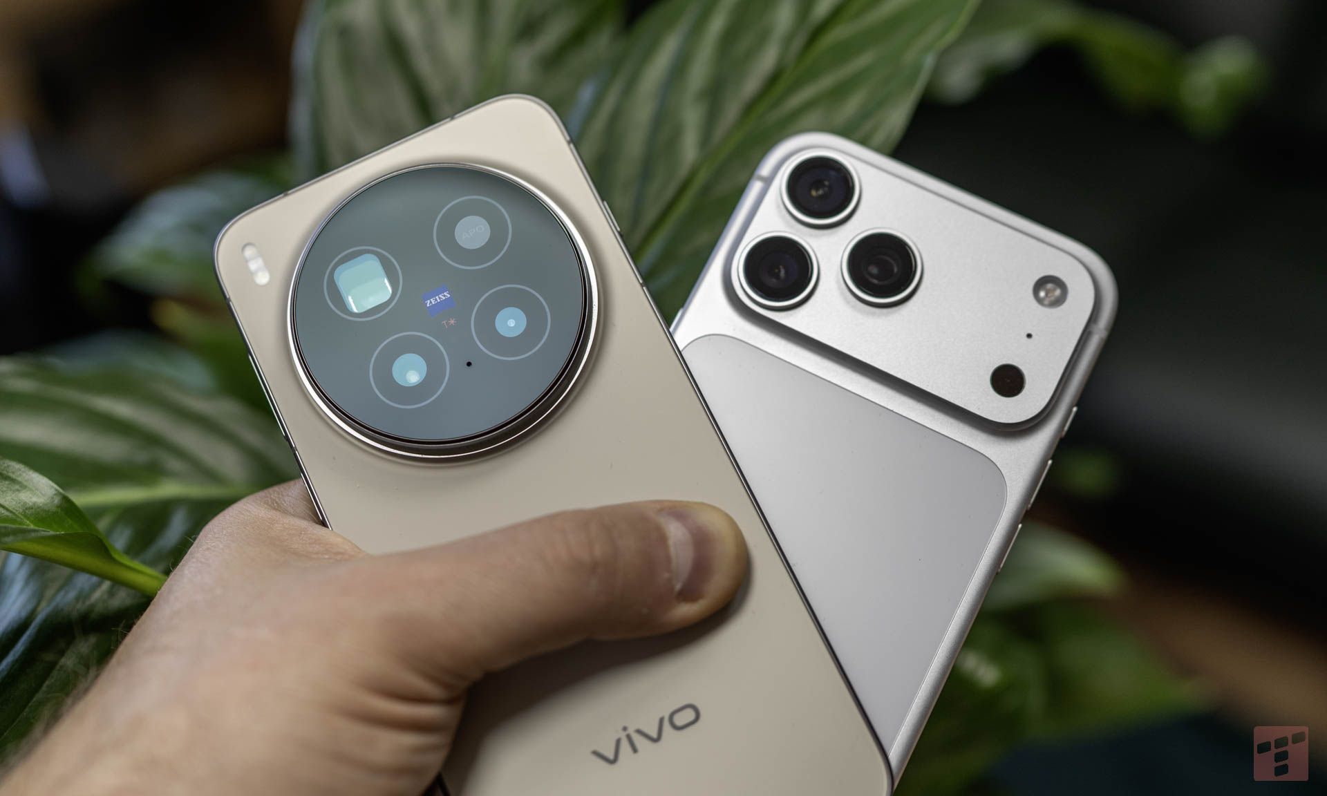 Pogrom 10 do 1. W tym starciu nie było litości