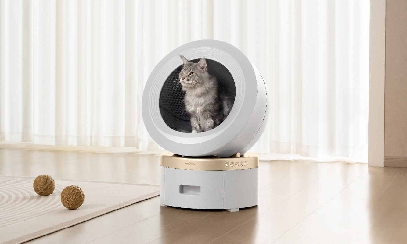Masz kota? MOVA ogarnie za ciebie kuwetę