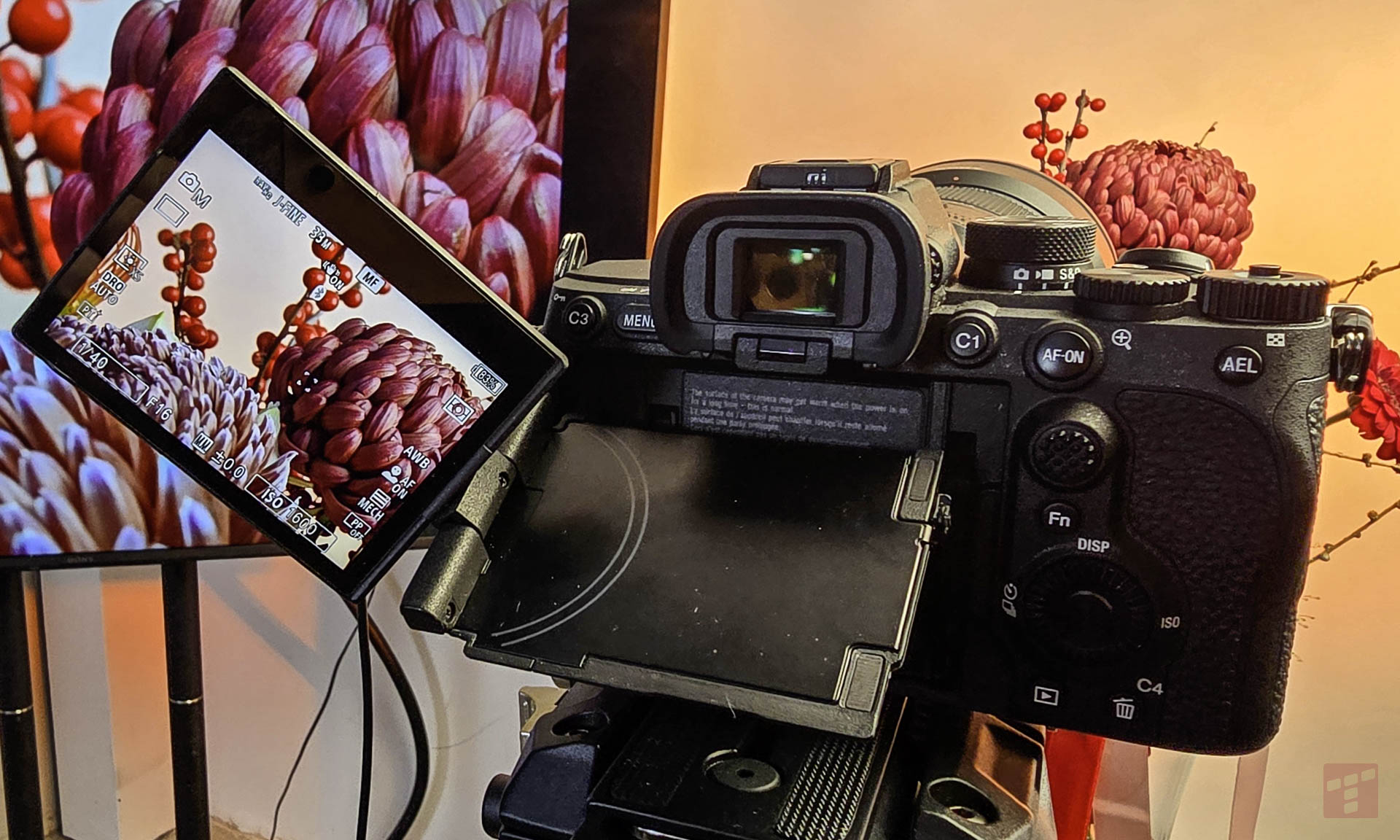 Sony A7 V oficjalnie. Na ten aparat czekałem